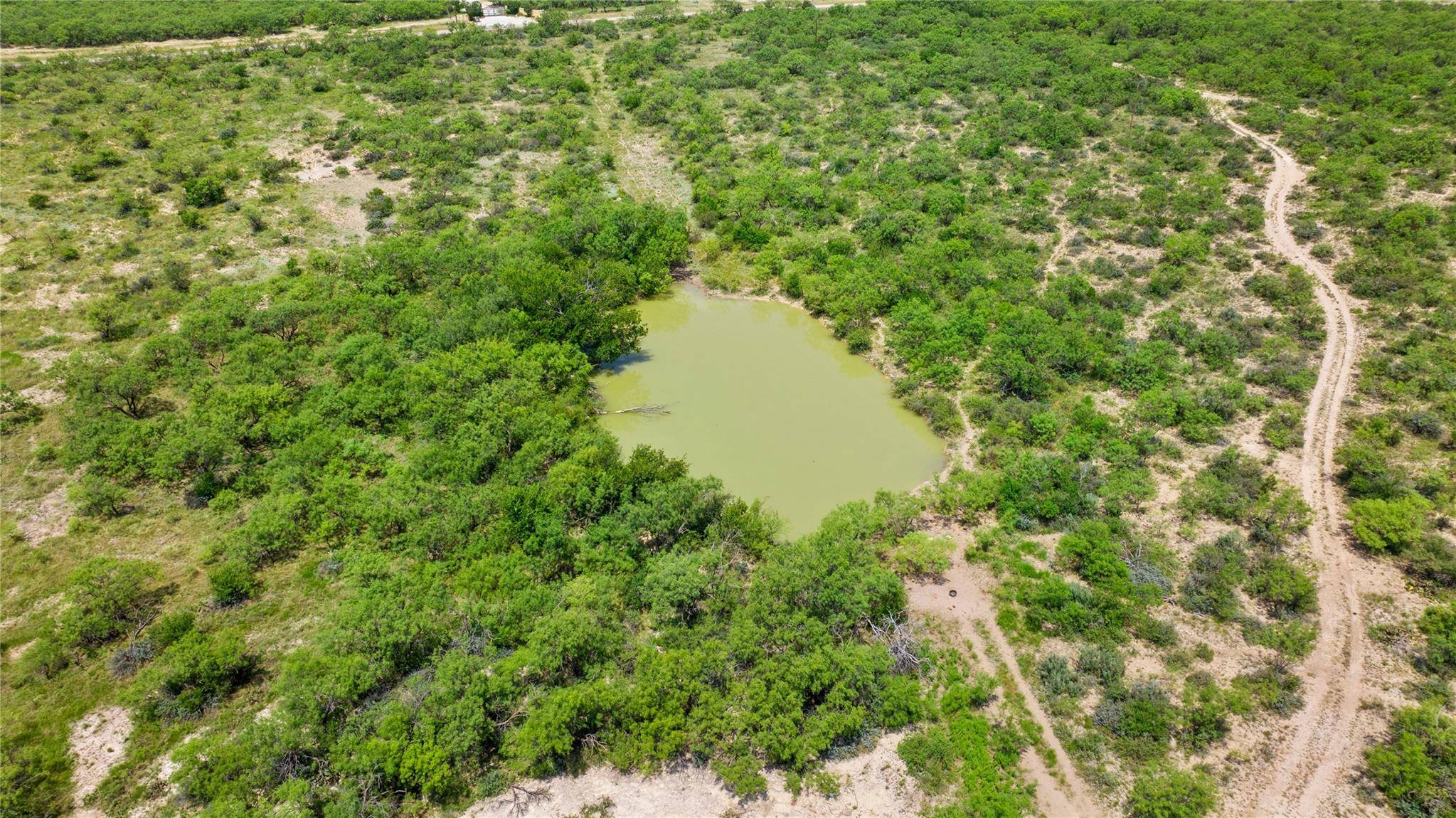 0 FM 2647, Ballinger, TX 76821