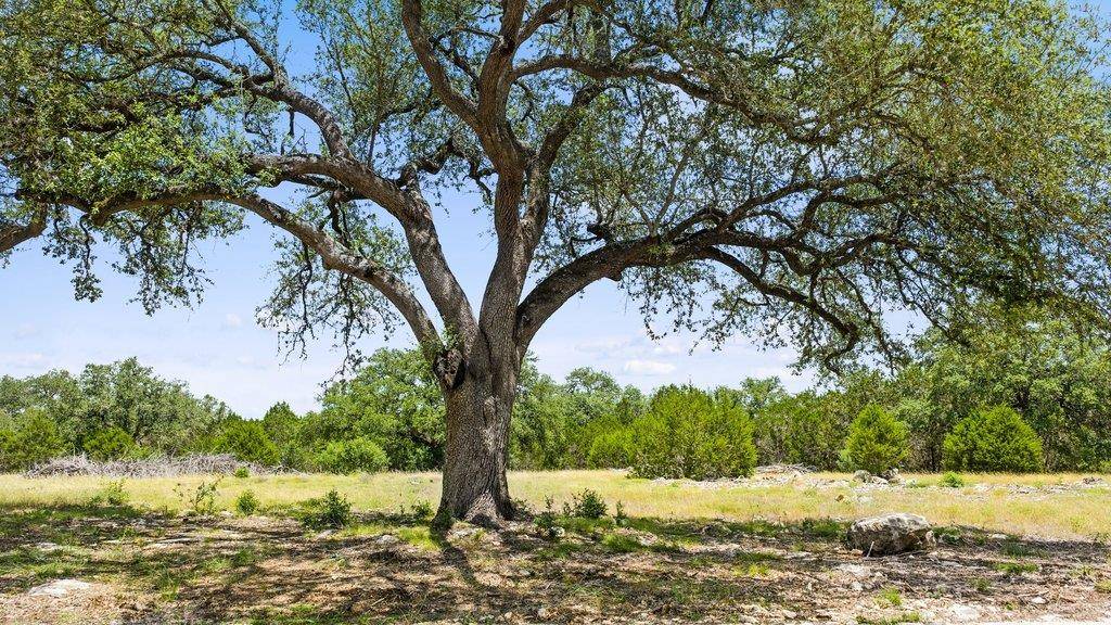 Tract 5 Cypress Cove RD, Spring Branch, TX 78070