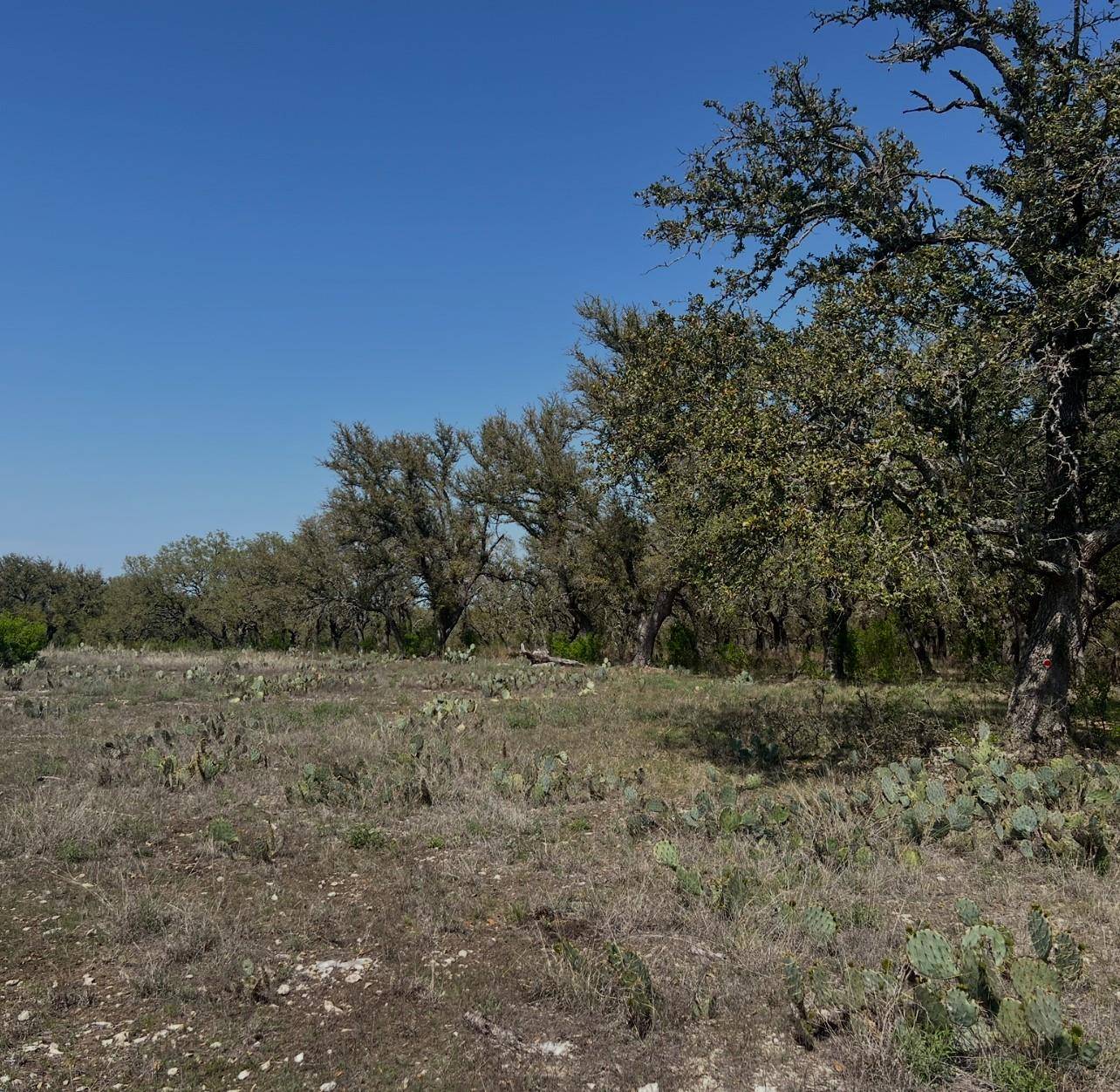 Lot 42 Waterbuck WAY, Lampasas, TX 76550