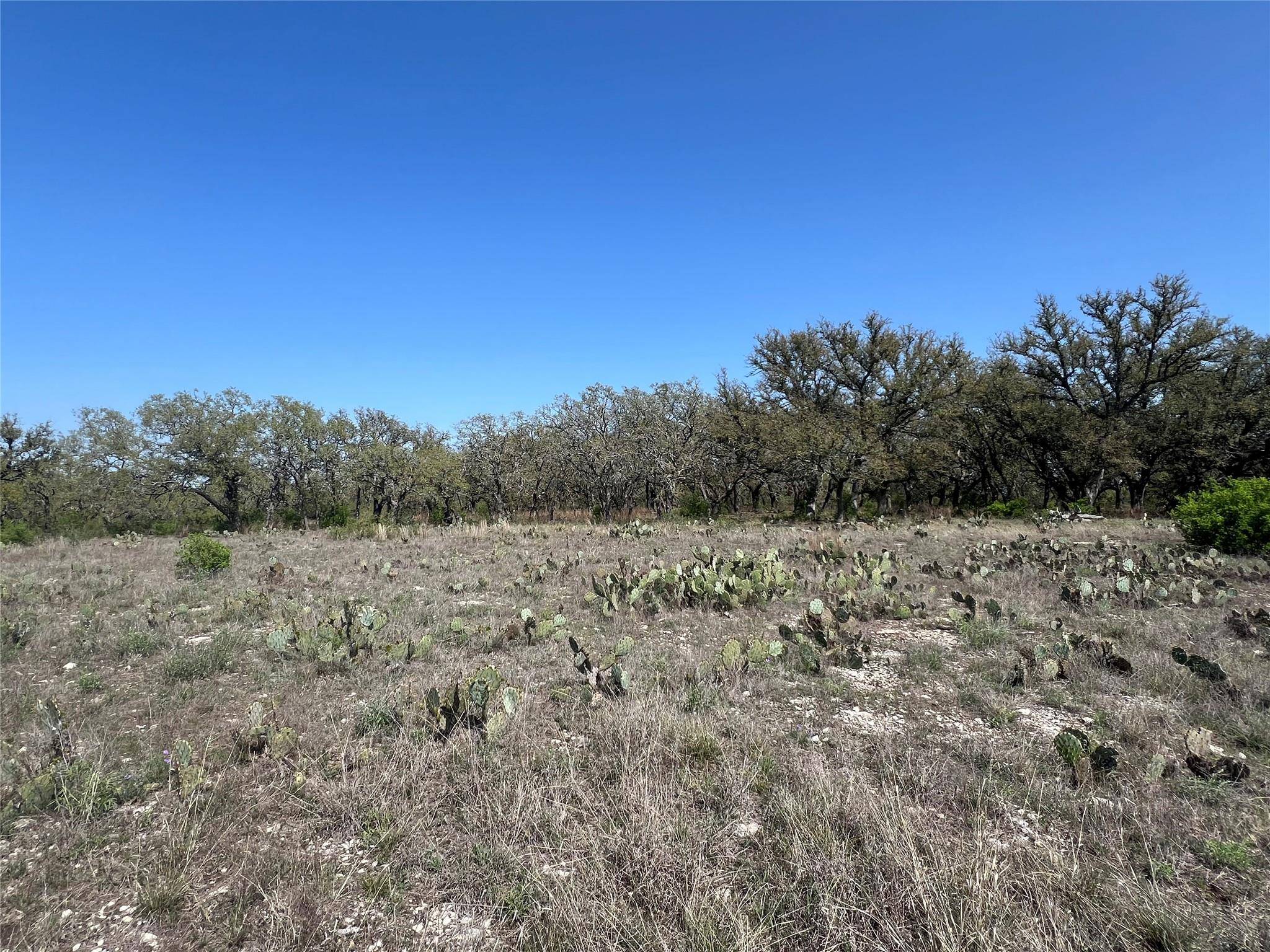 Lot 42 Waterbuck WAY, Lampasas, TX 76550