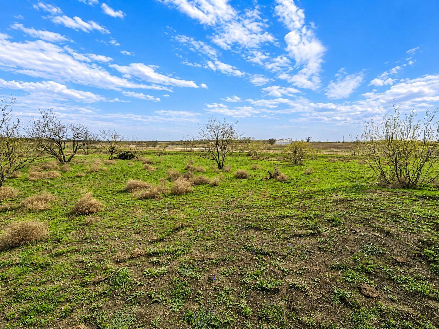 TBD County Road 108, Buckholts, TX 76518