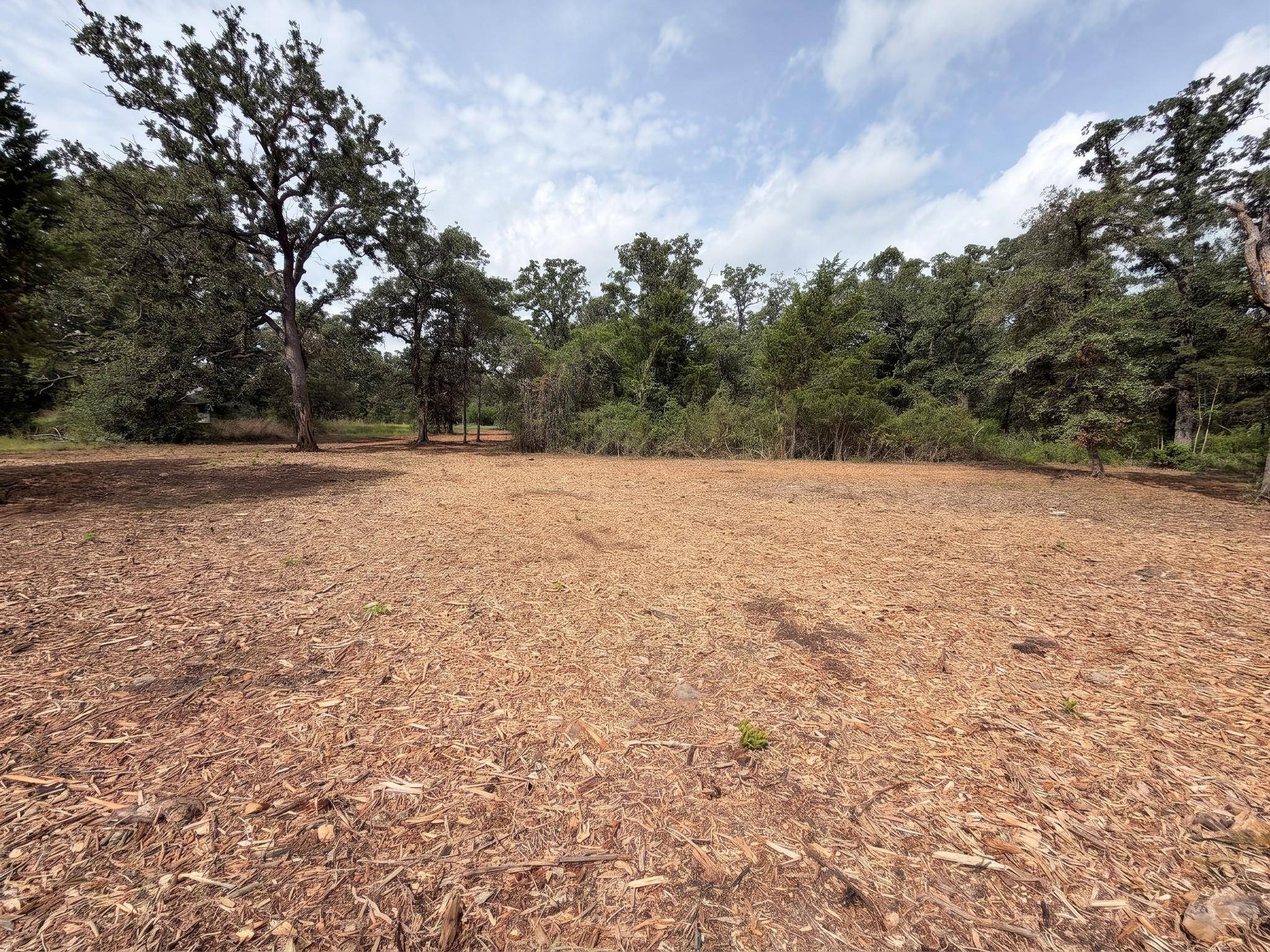 TBD PR 3428 (2.528 Acres in Lin Luce Ranches #2), Milano, TX 76556
