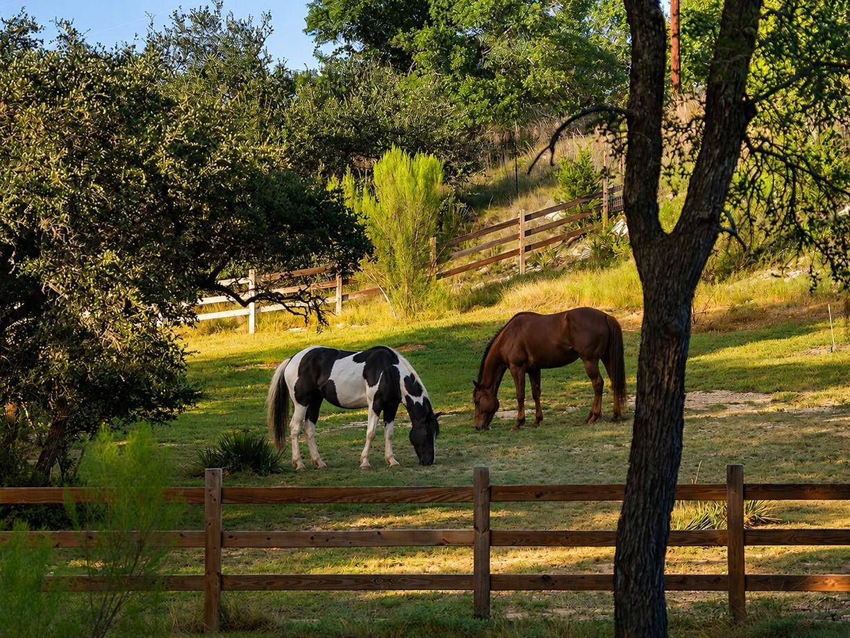 447 Miss Donna LN, Dripping Springs, TX 78620
