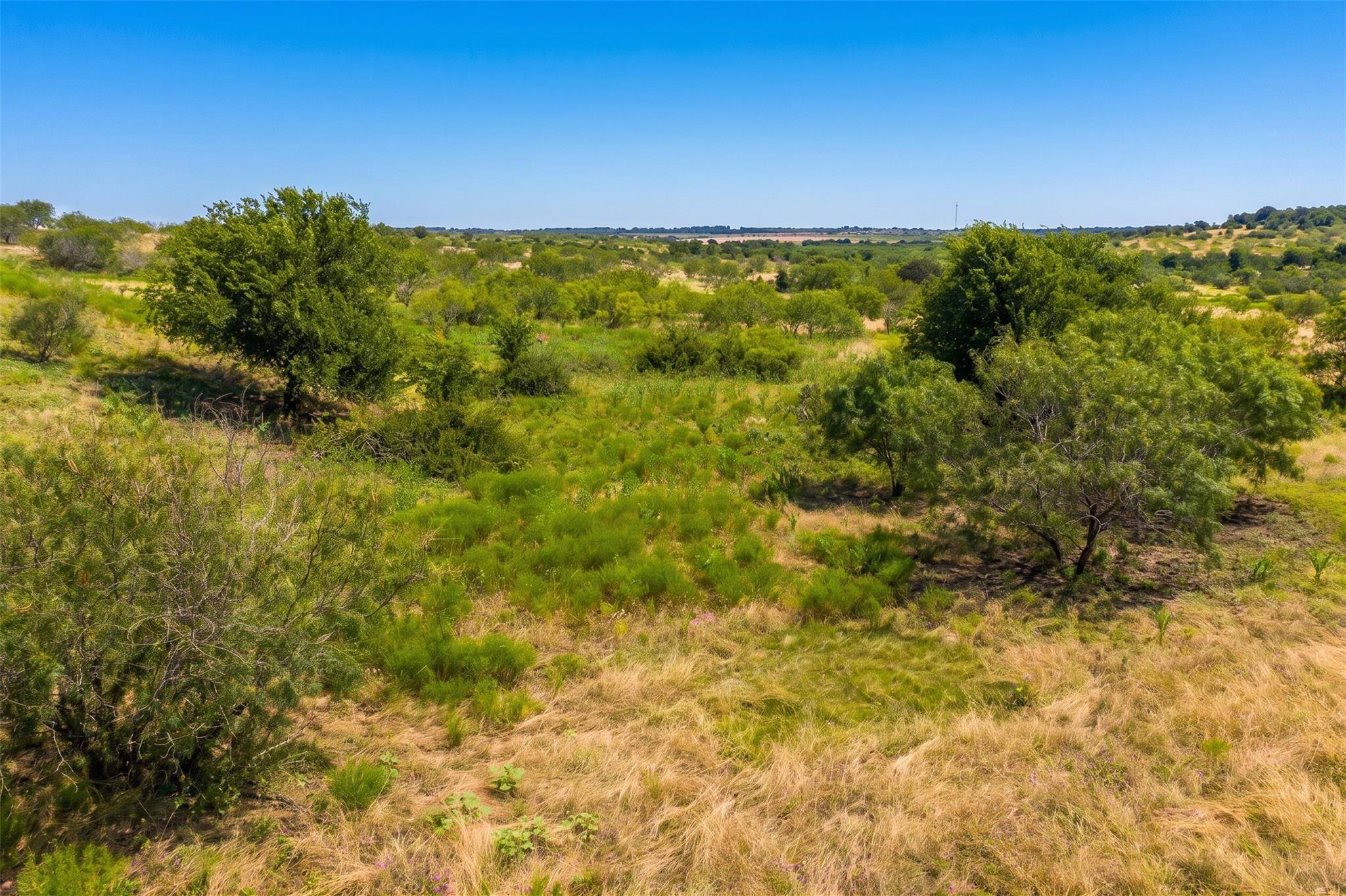 1854 LOT 4 County Road 104, Buckholts, TX 76518