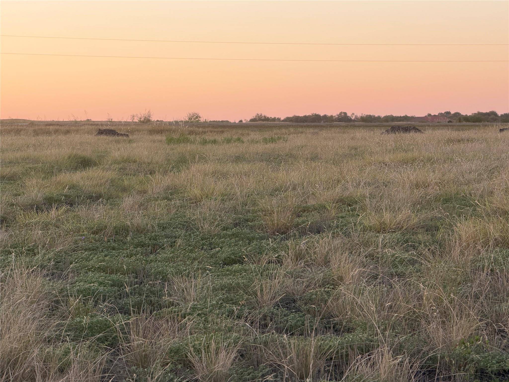221 Tigerlily WAY, Thrall, TX 76578