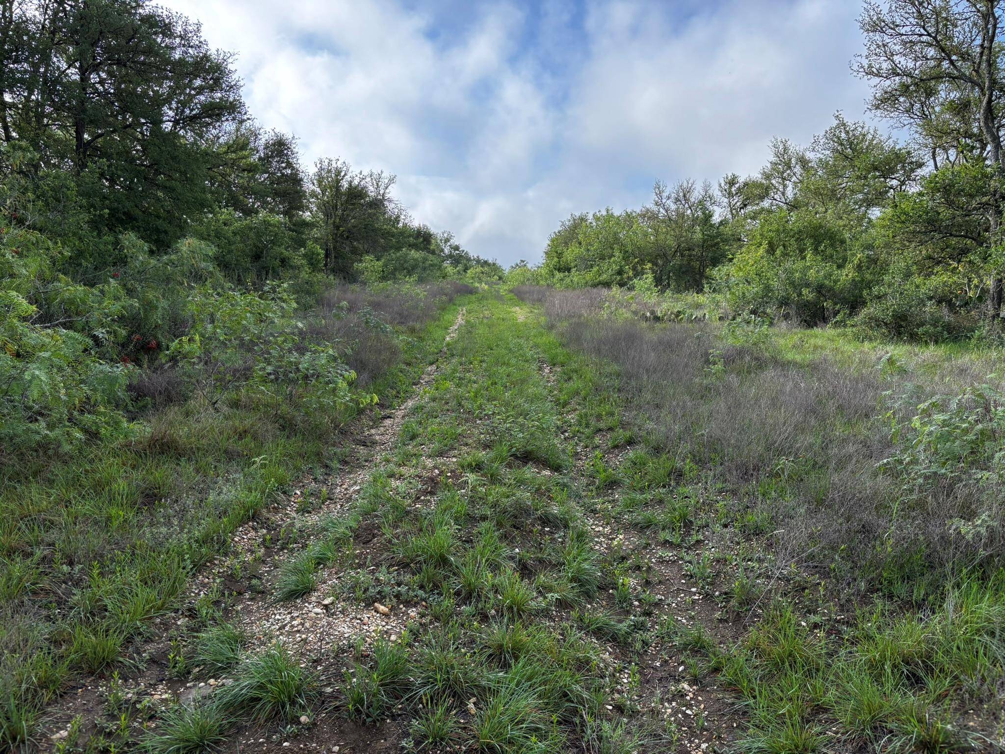 805 County Road 467, Thrall, TX 76578