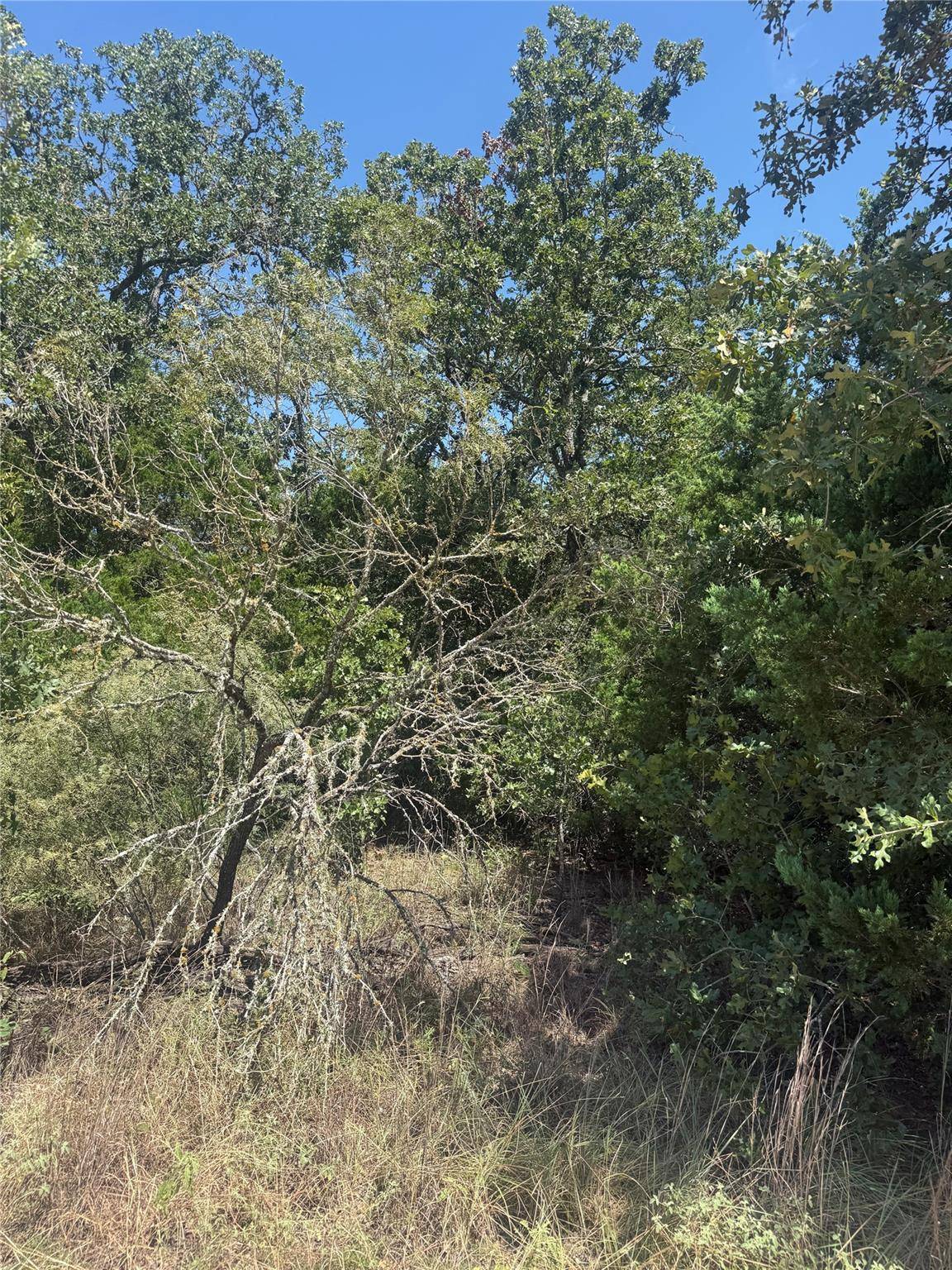 TBD Blanket Flower Dr Lot 18 DR, Bastrop, TX 78602