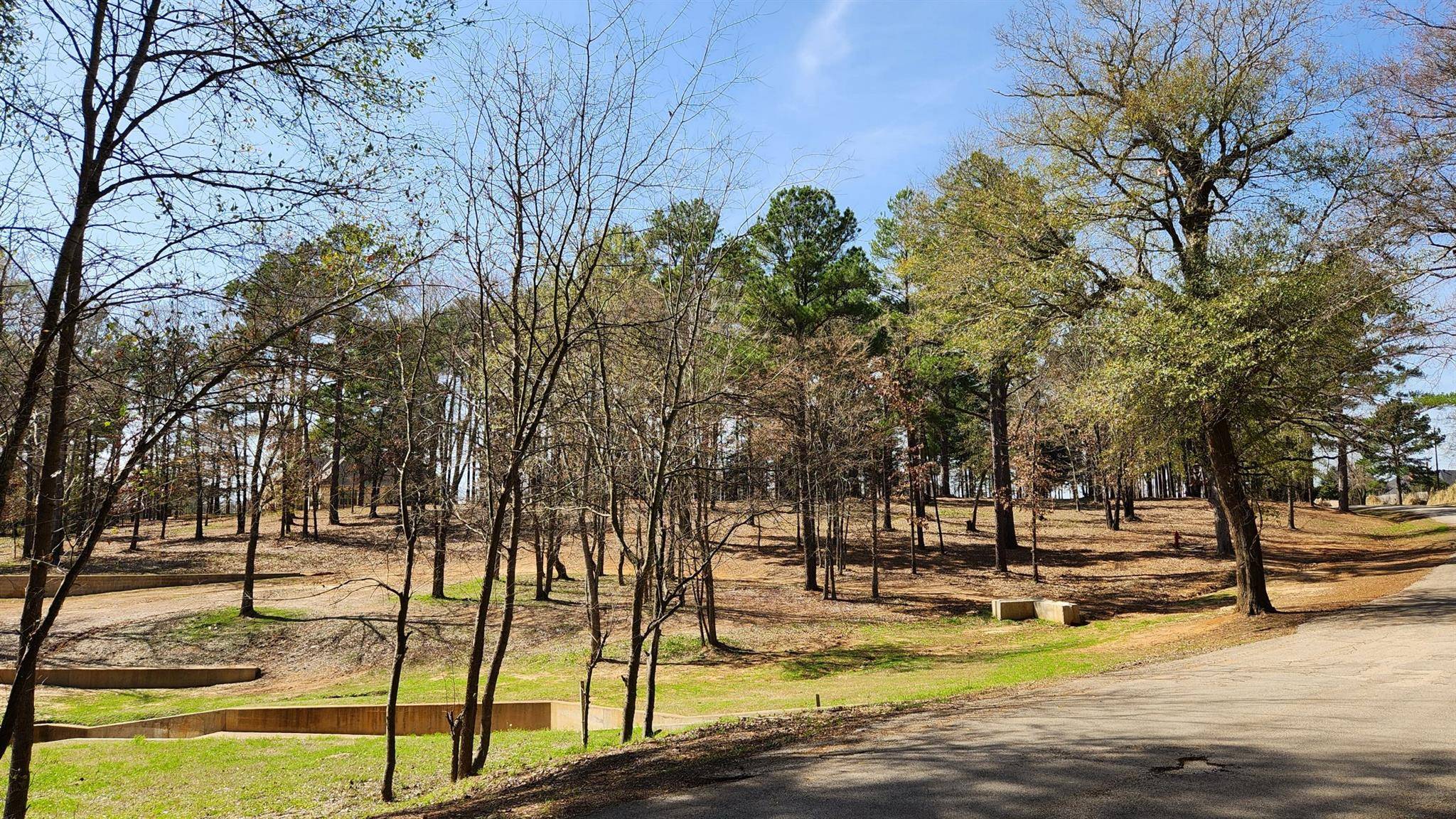 22540 County Road 1174, Bullard, TX 75757