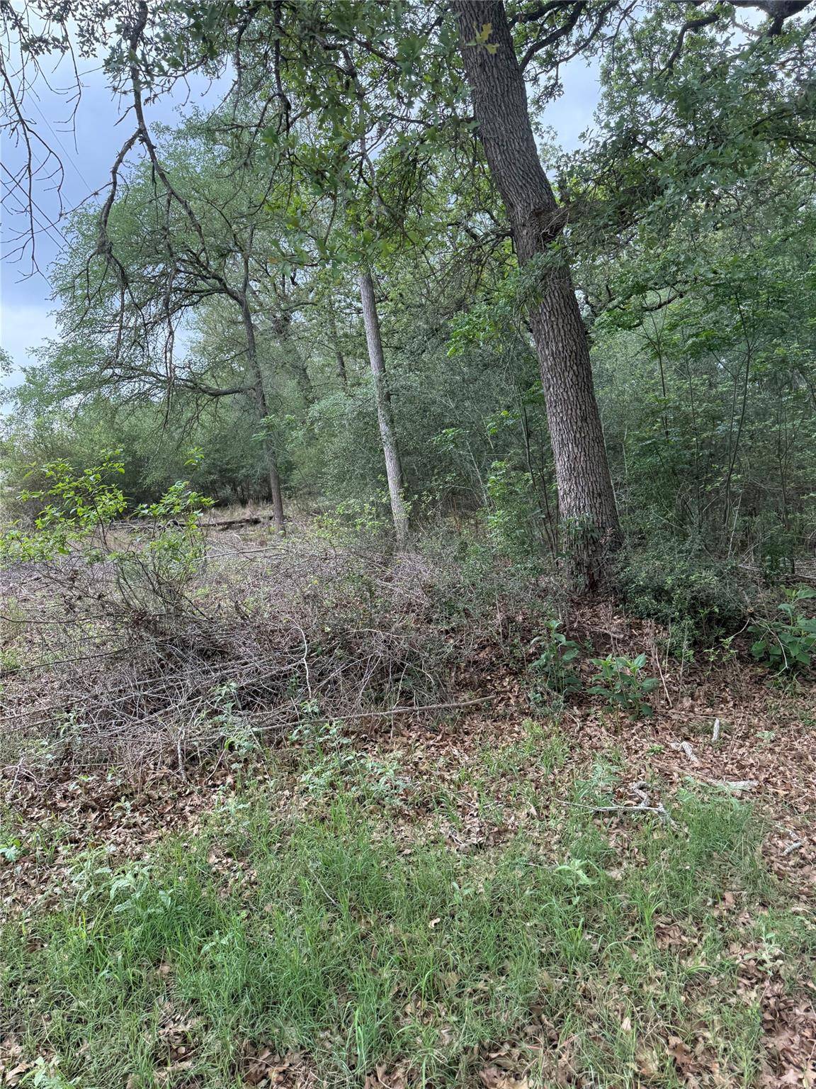 Lots 69 and 70 Kaelepulu DR, Bastrop, TX 78602