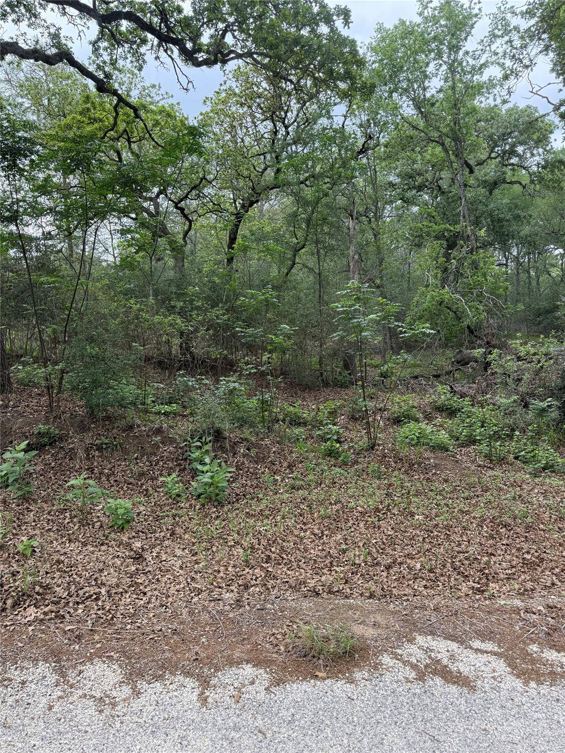 Lots 69 and 70 Kaelepulu DR, Bastrop, TX 78602