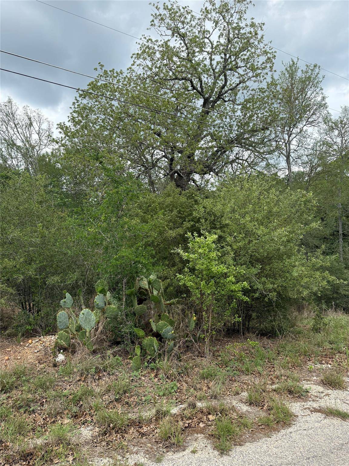 Lots 69 and 70 Kaelepulu DR, Bastrop, TX 78602