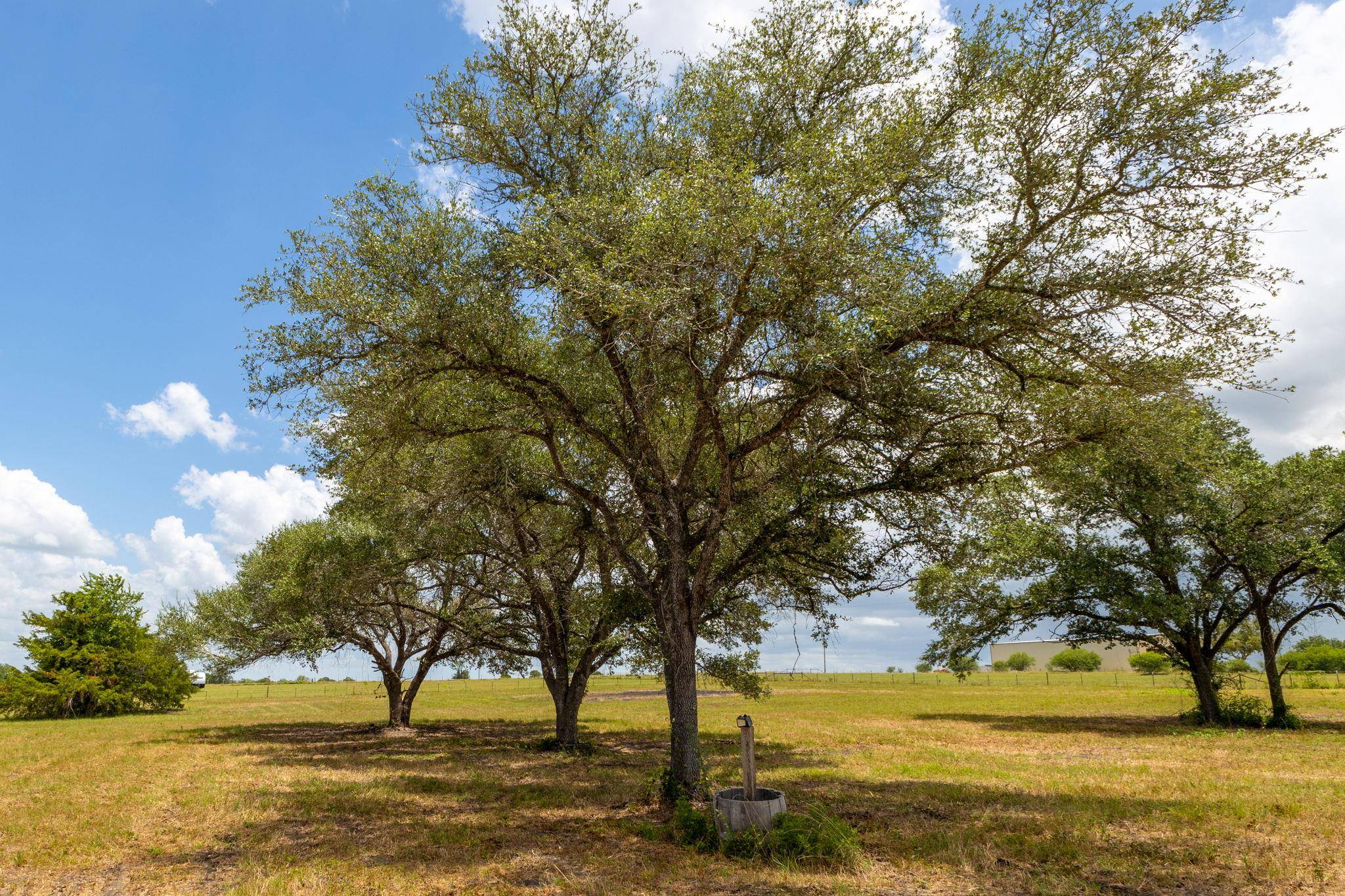 1021 E Old Hallettsville RD, Flatonia, TX 78941
