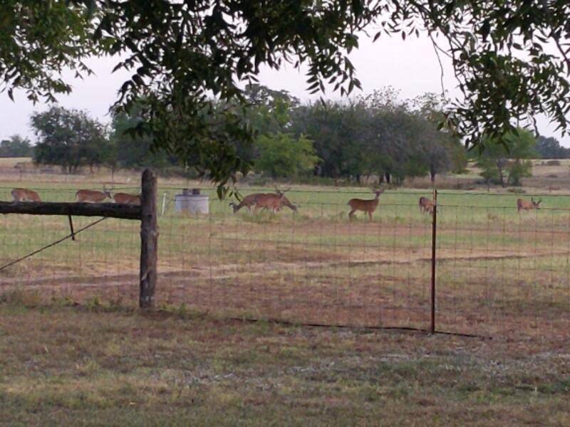 10905 S. FM 1915 FM 1915 HWY, Buckholts, TX 76518