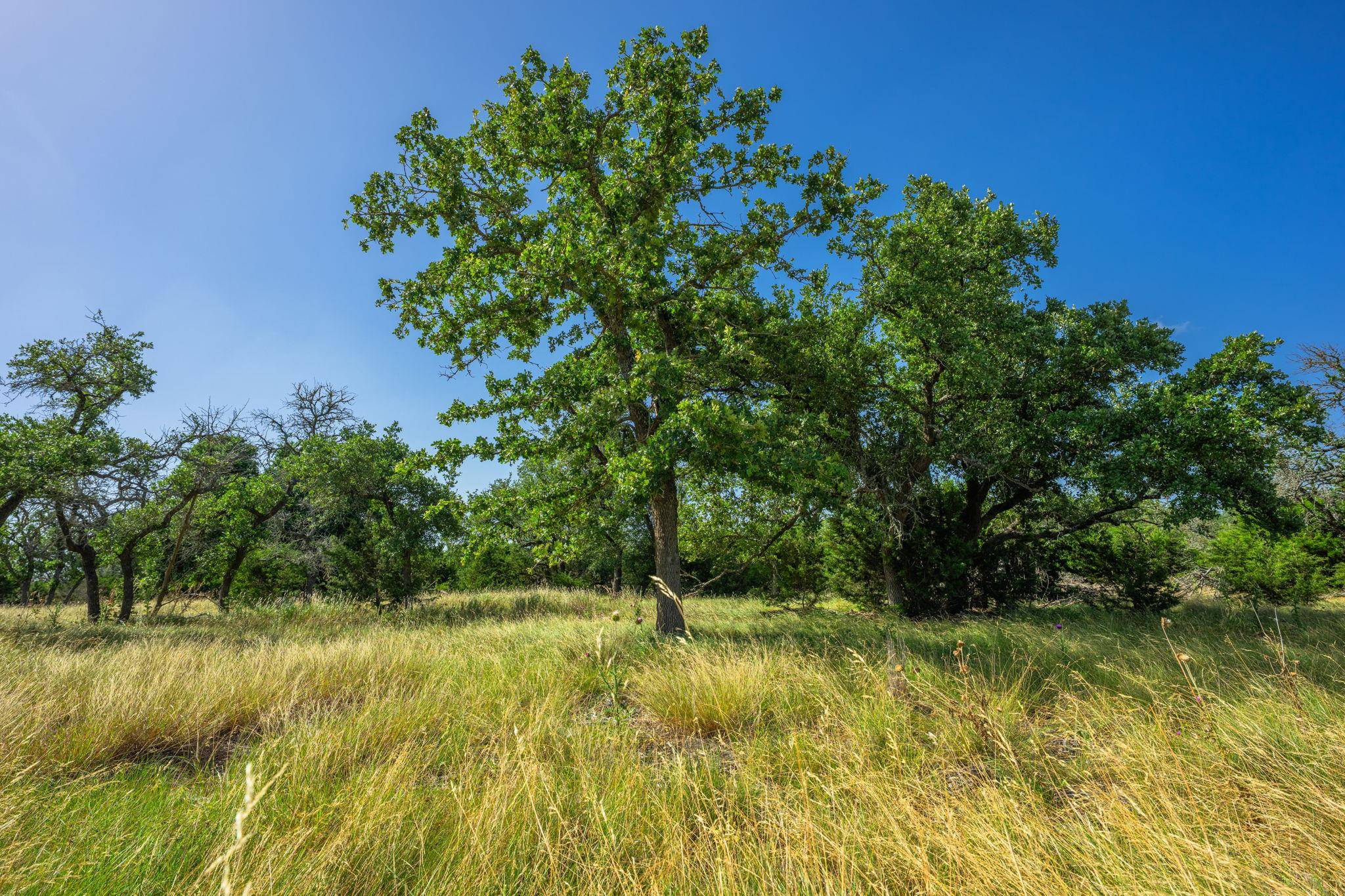 00 Hideout Ranch Lot 7, Mountain Home, TX 78058