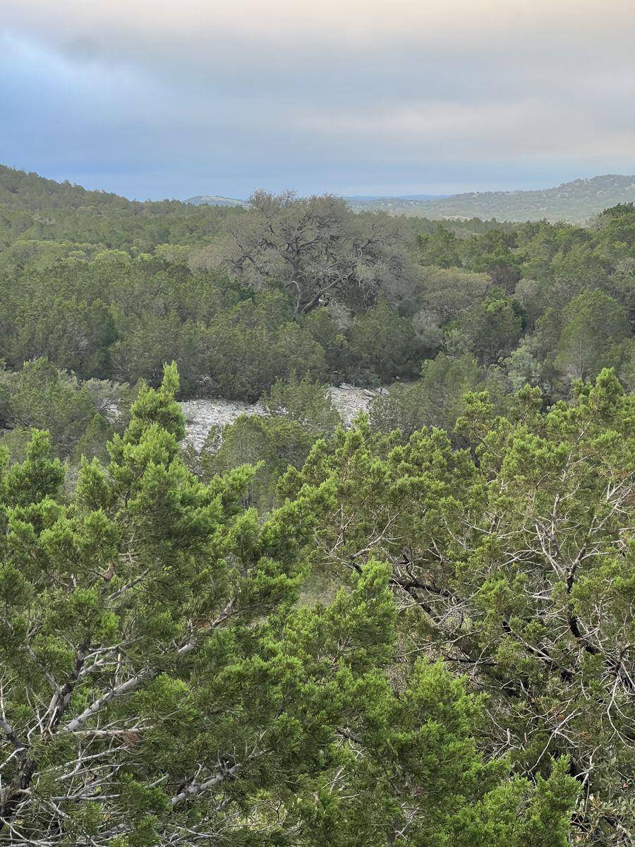 TBD County Road 635, Rocksprings, TX 78880