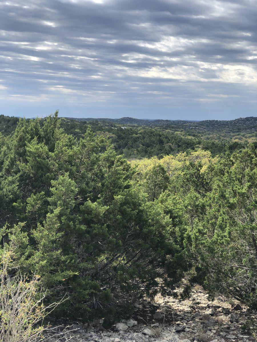 TBD County Road 635, Rocksprings, TX 78880