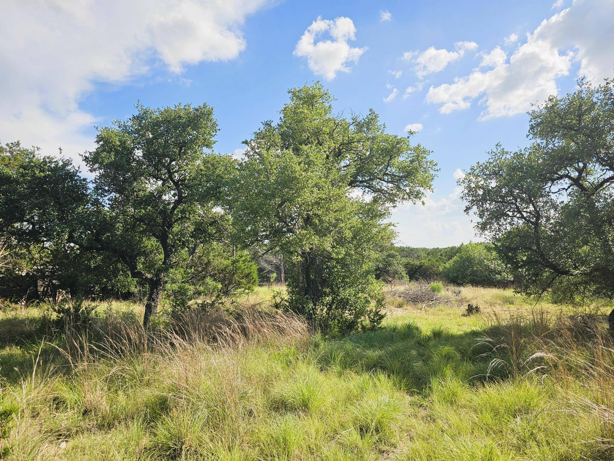 100 Reavis DR, Kempner, TX 76539