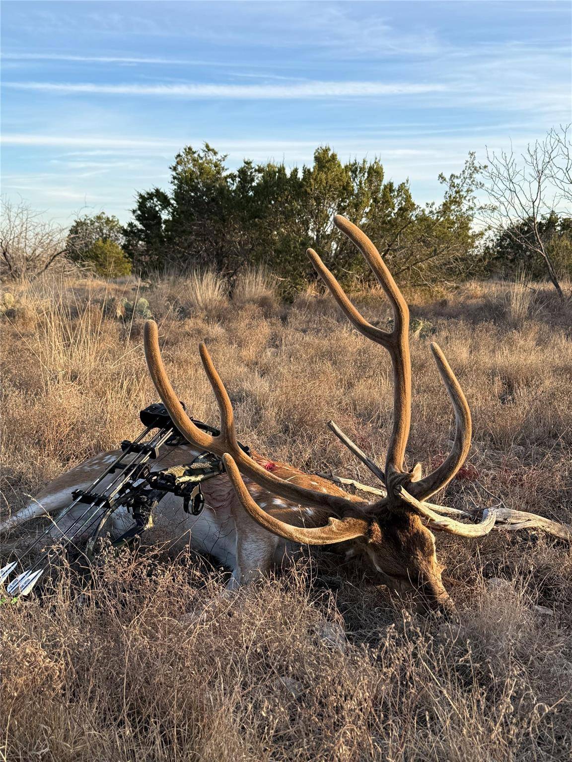 0 Sutton County Rd 406 RD, Sonora, TX 76950