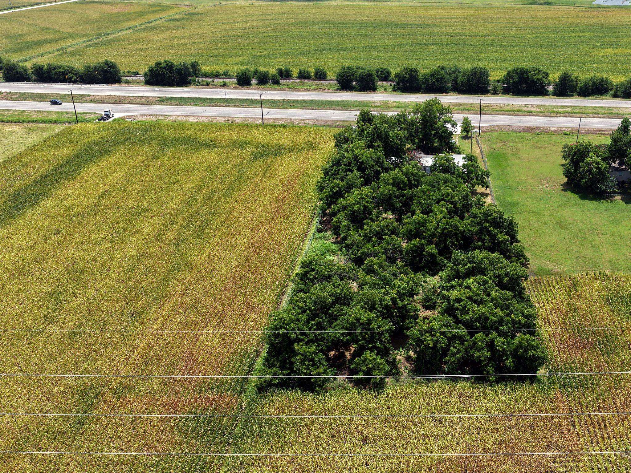 22555 State Highway 79 HWY, Taylor, TX 76574