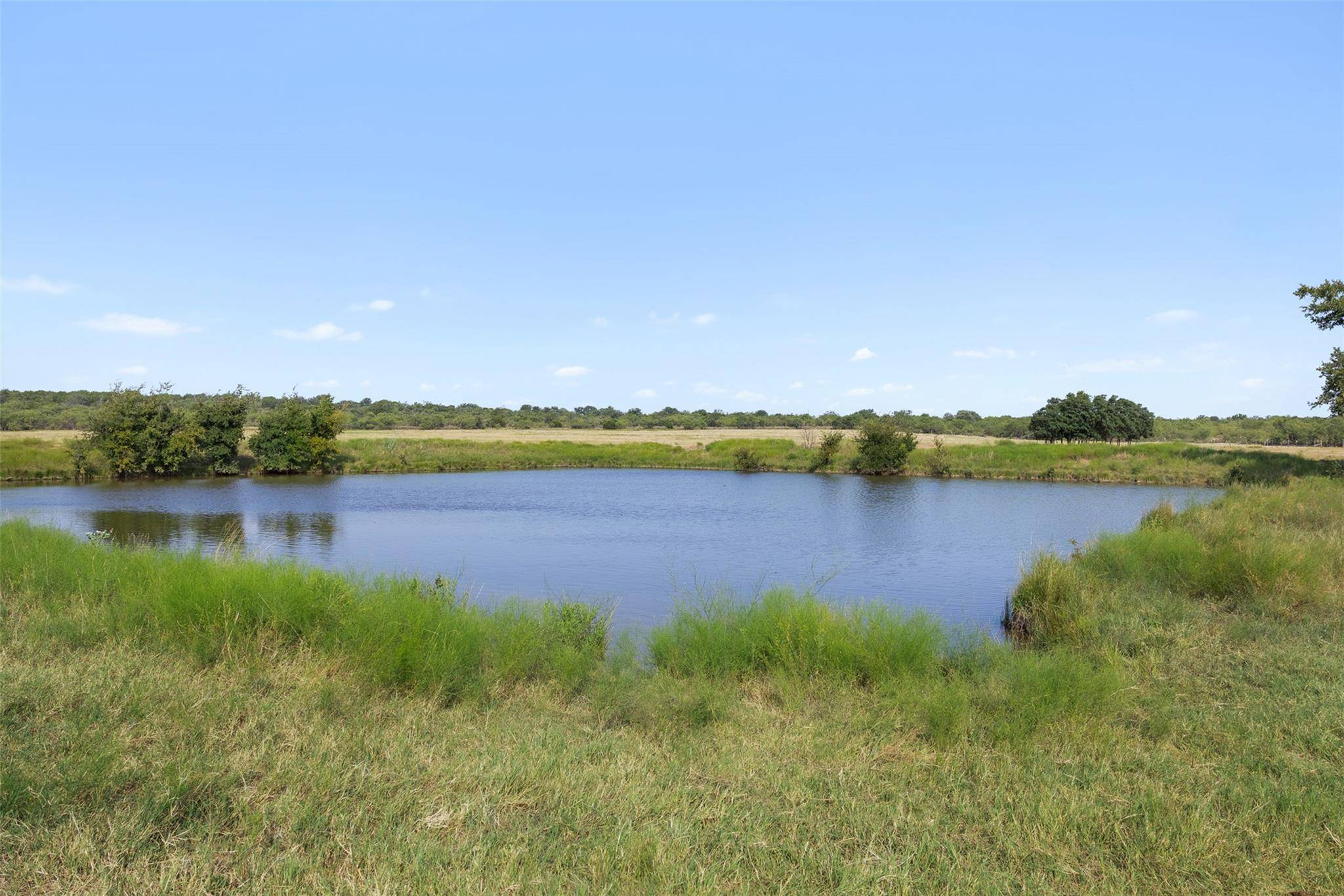 TBD FM 1176 S, Santa Anna, TX 76878