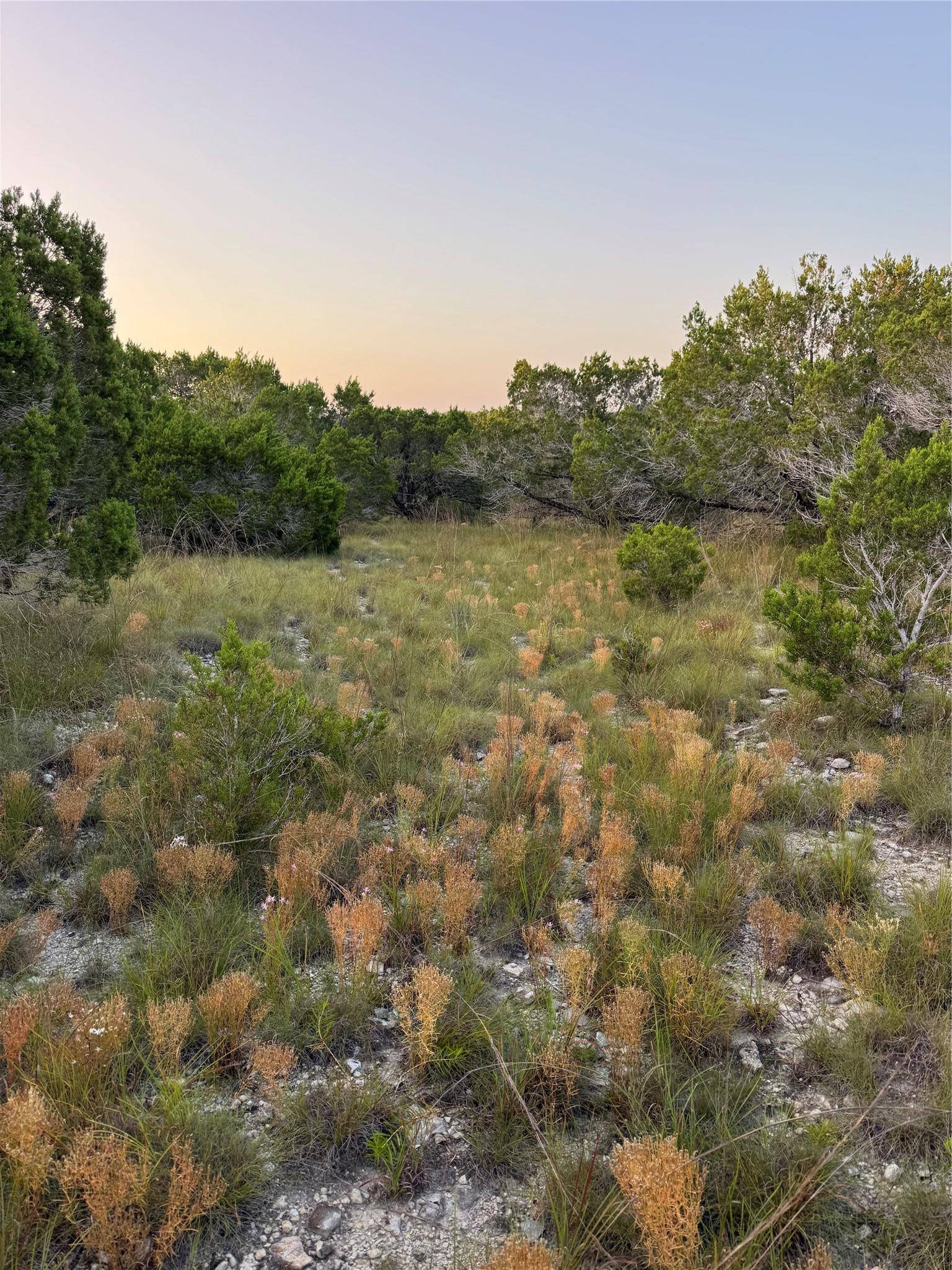 0000 Round Mountain RD, Leander, TX 78641