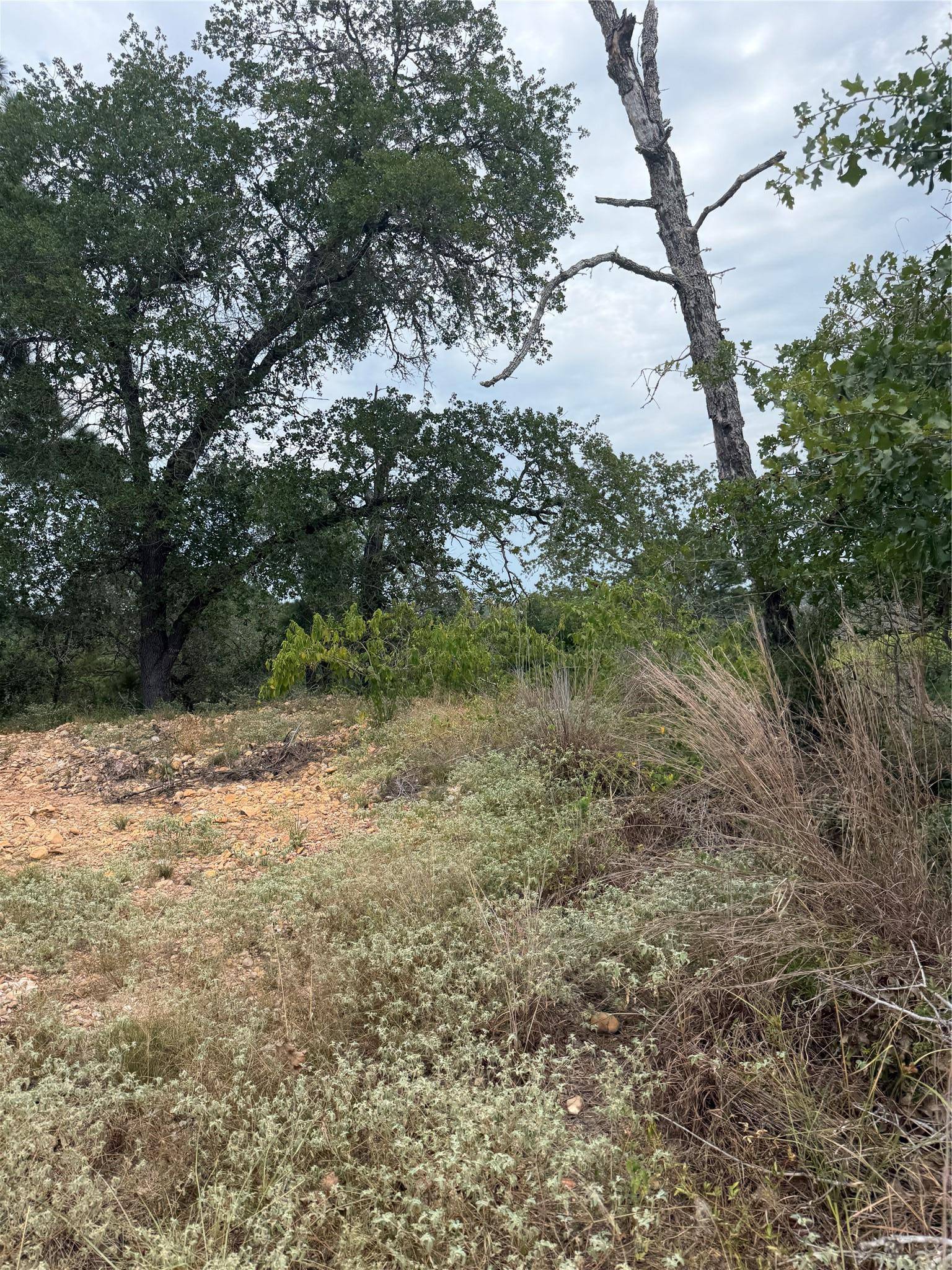 Lots 236 and 237 Kaelepulu LN, Bastrop, TX 78602