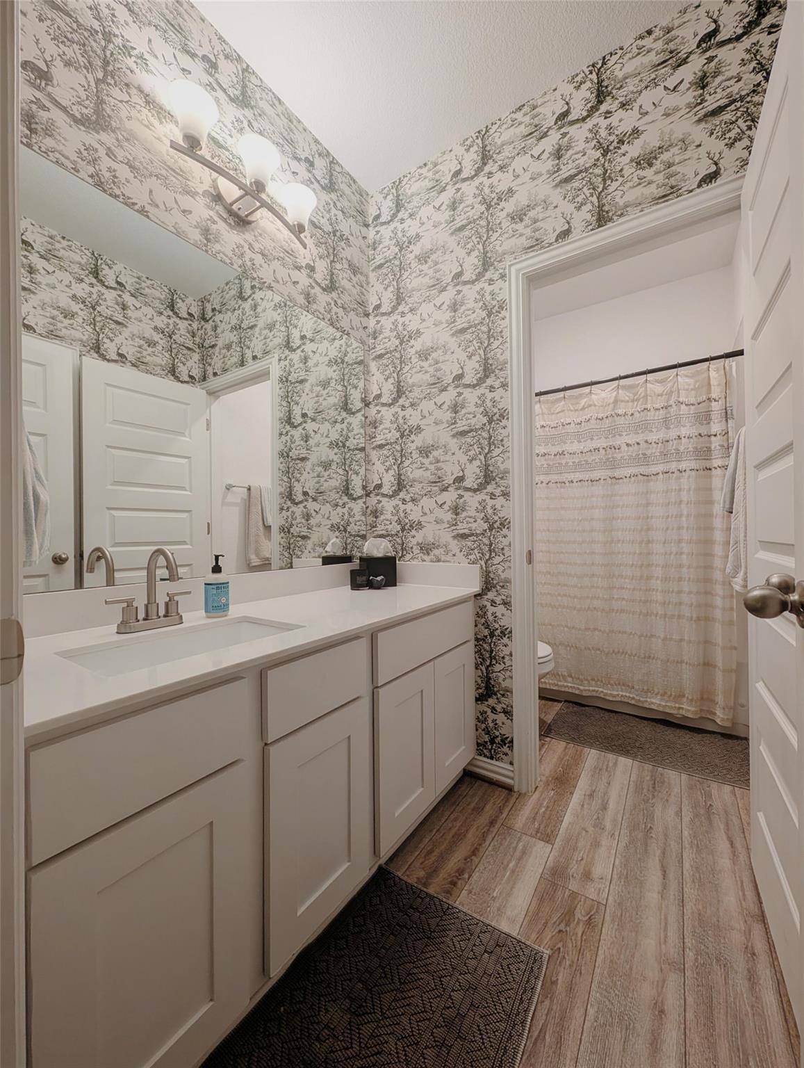 306 Buffalo View LN, Georgetown, TX 78628