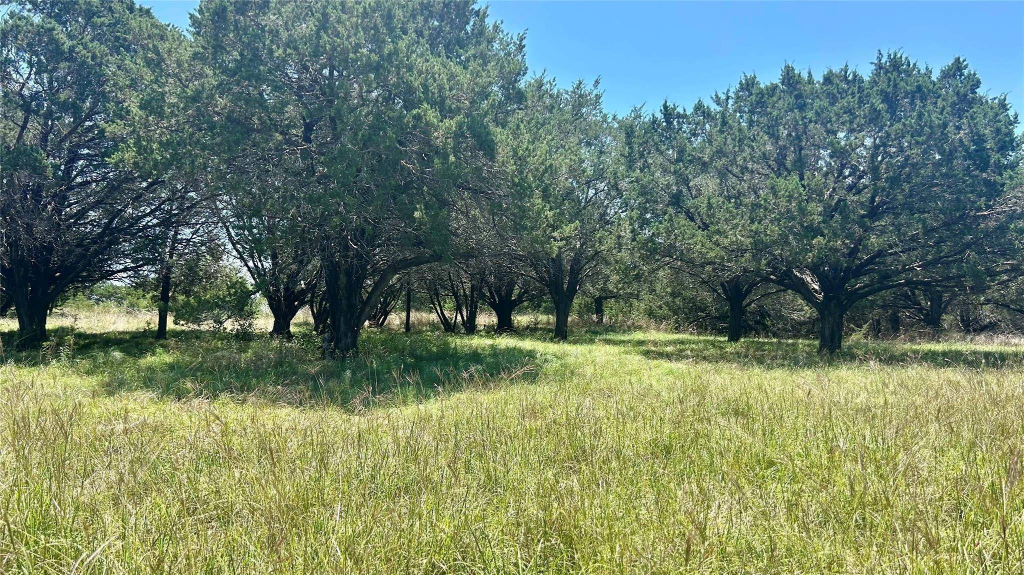 4 County Road 340, Mcgregor, TX 76657