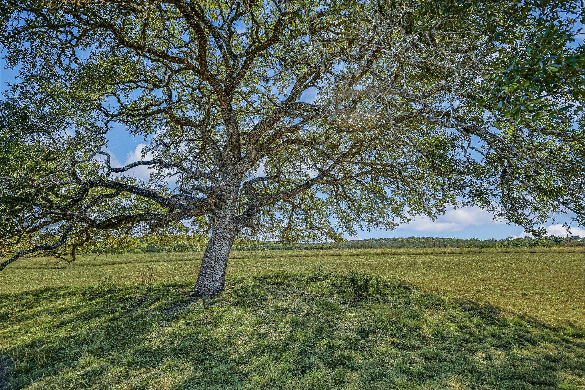 4698 FISCHER STORE RD, Wimberley, TX 78676