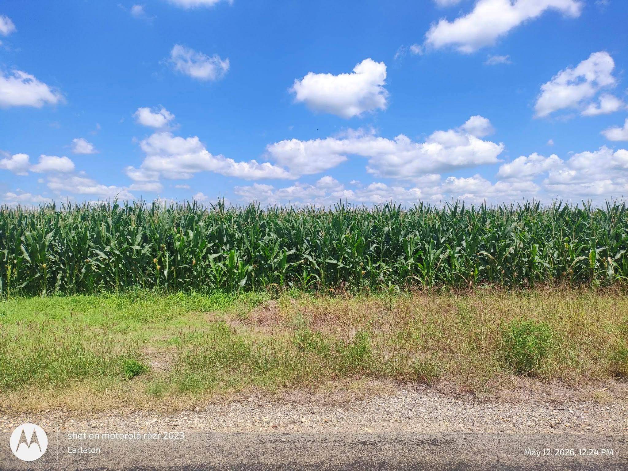 3001 Dolphin (lot 2) DR, Coupland, TX 78615