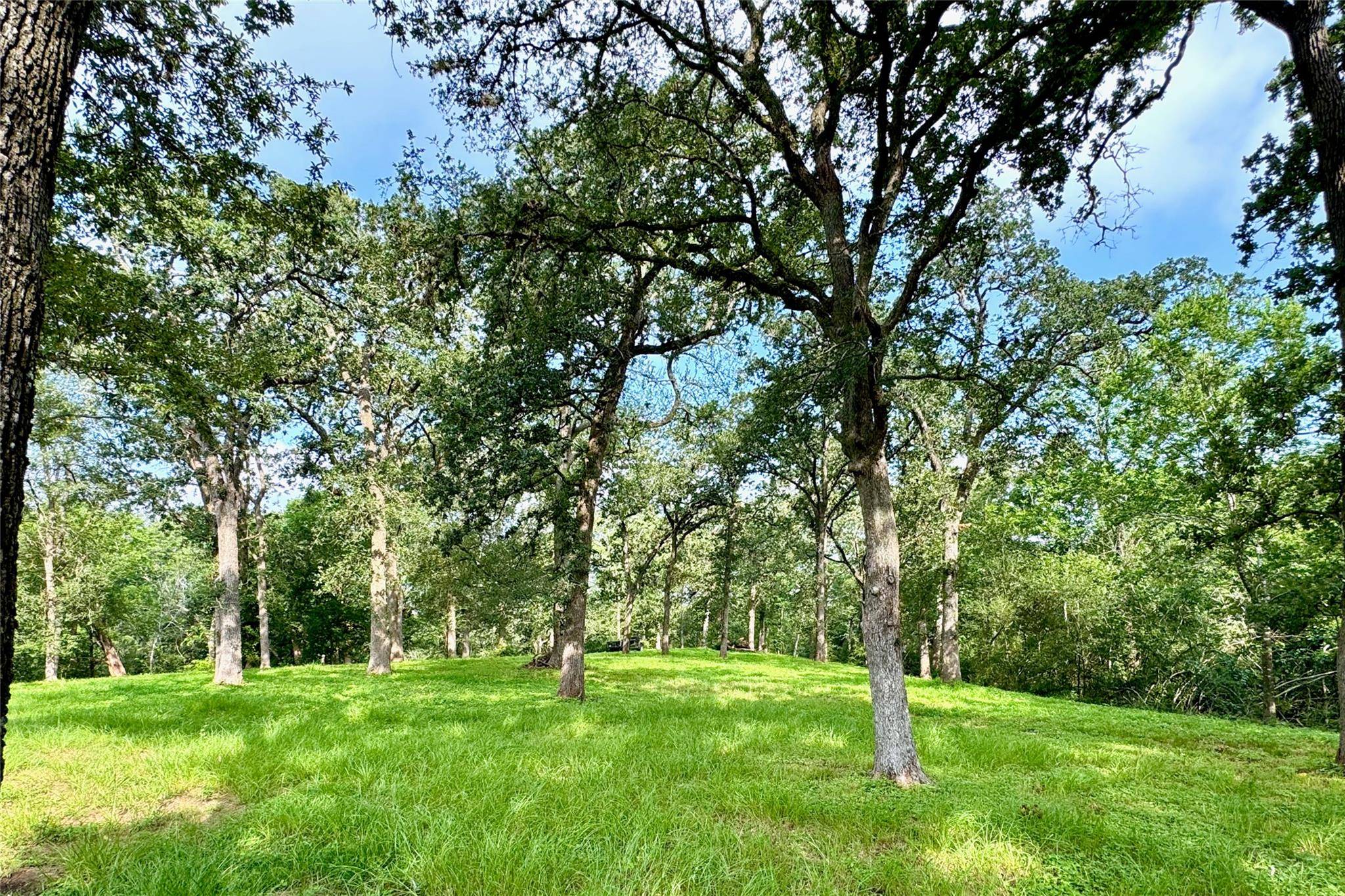 35471 Pontiac DR, Brookshire, TX 77423