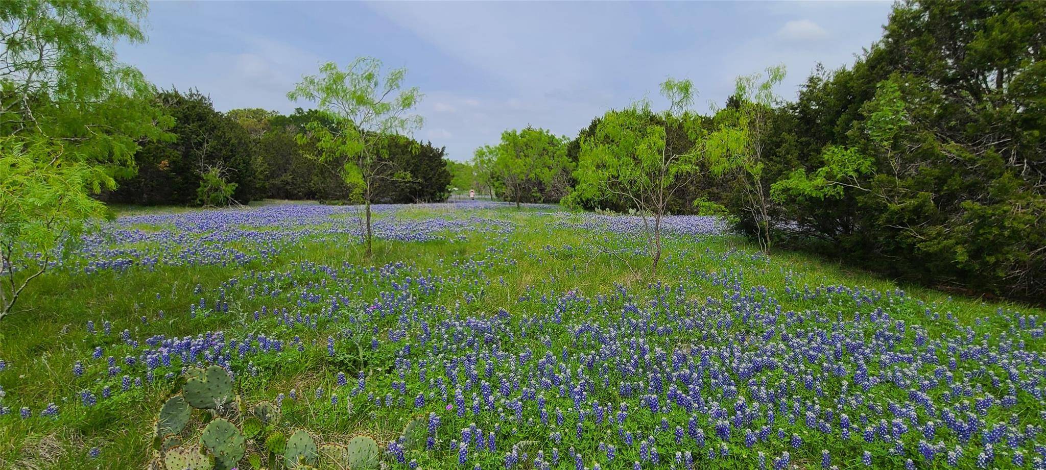 TBD US Highway 190 E, Kempner, TX 76539