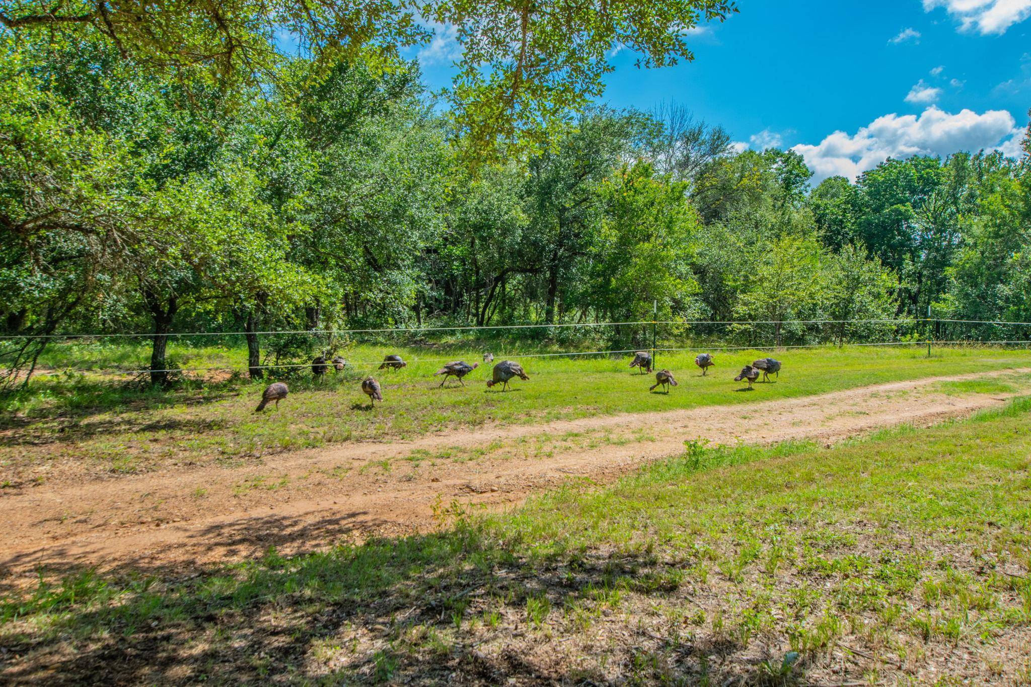 622 Private Road 4053, Buckholts, TX 76518