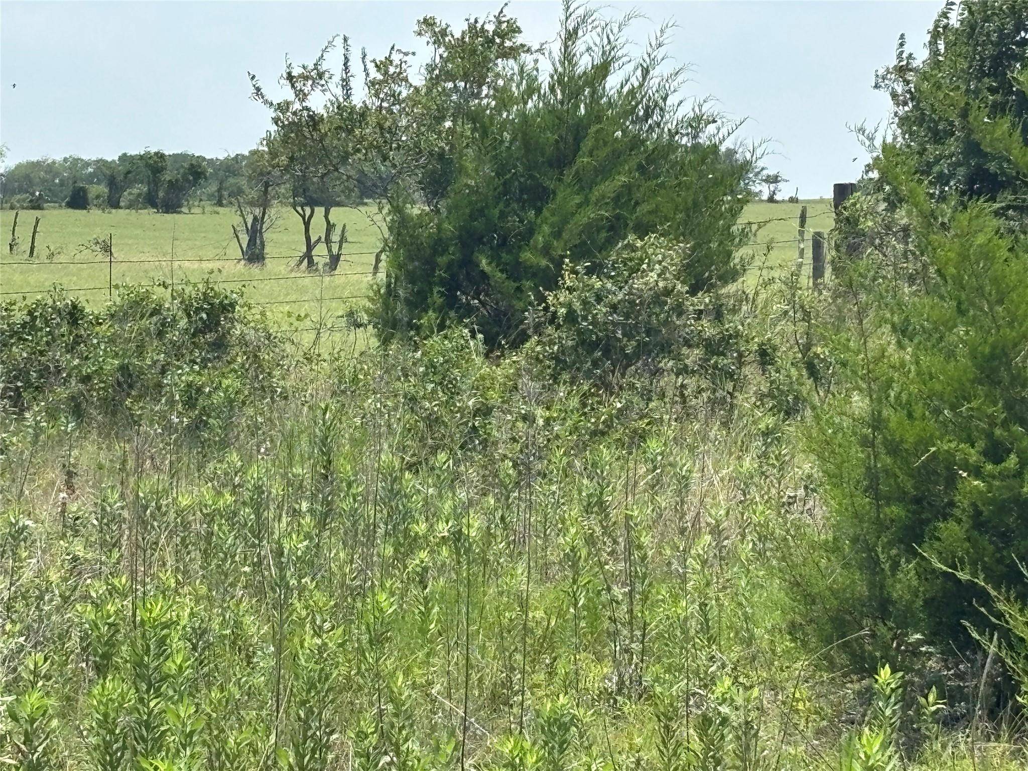 1500 Bottoms East RD, Troy, TX 76579