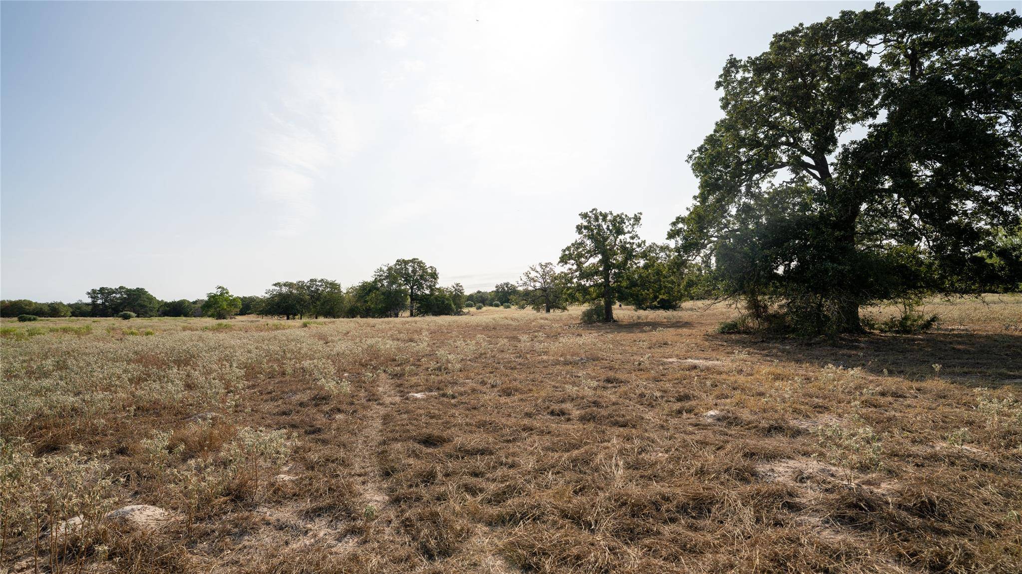 TBD TRACT 5 CEDAR ROCK RD, Rosanky, TX 78953