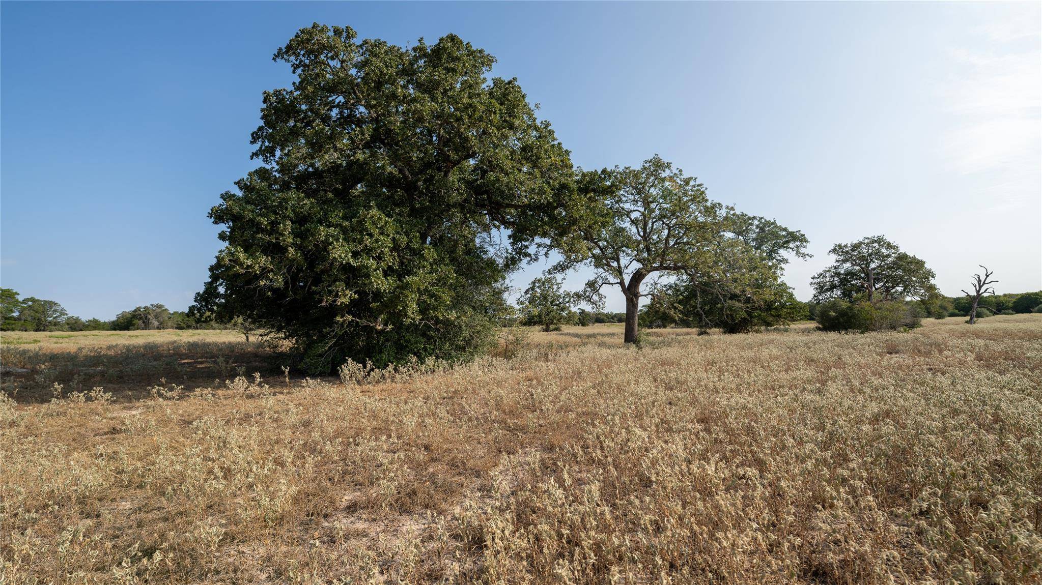 TBD TRACT 5 CEDAR ROCK RD, Rosanky, TX 78953