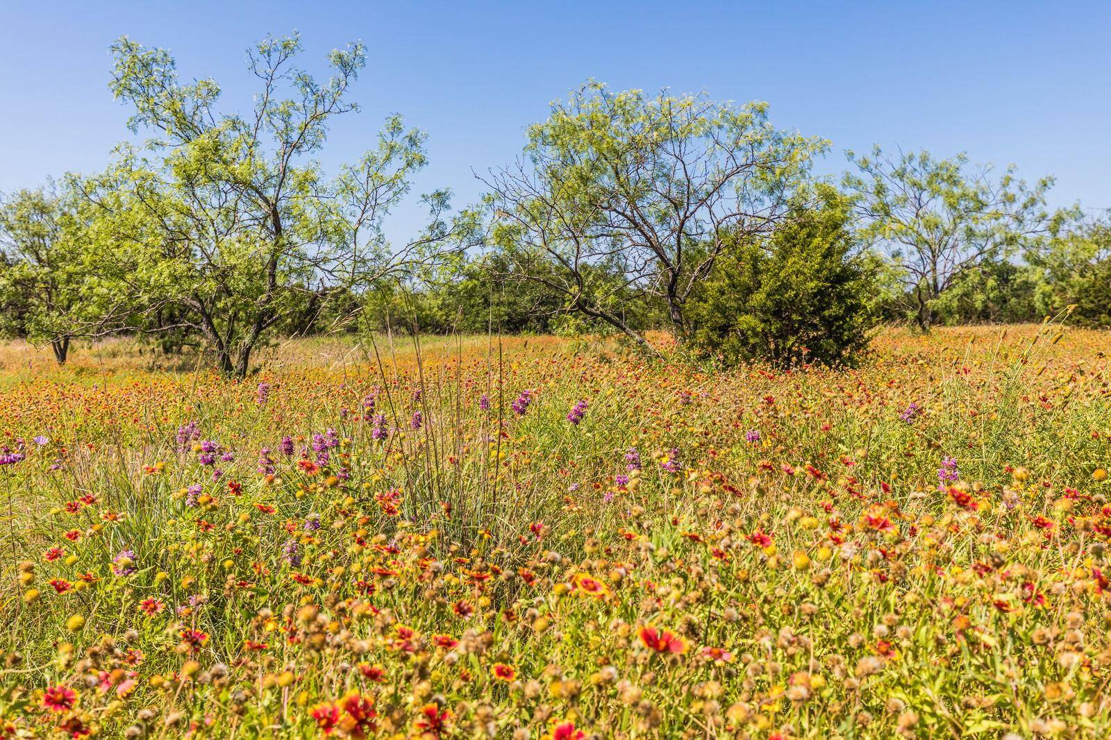 Tract 2 County Road 3300, Kempner, TX 76539