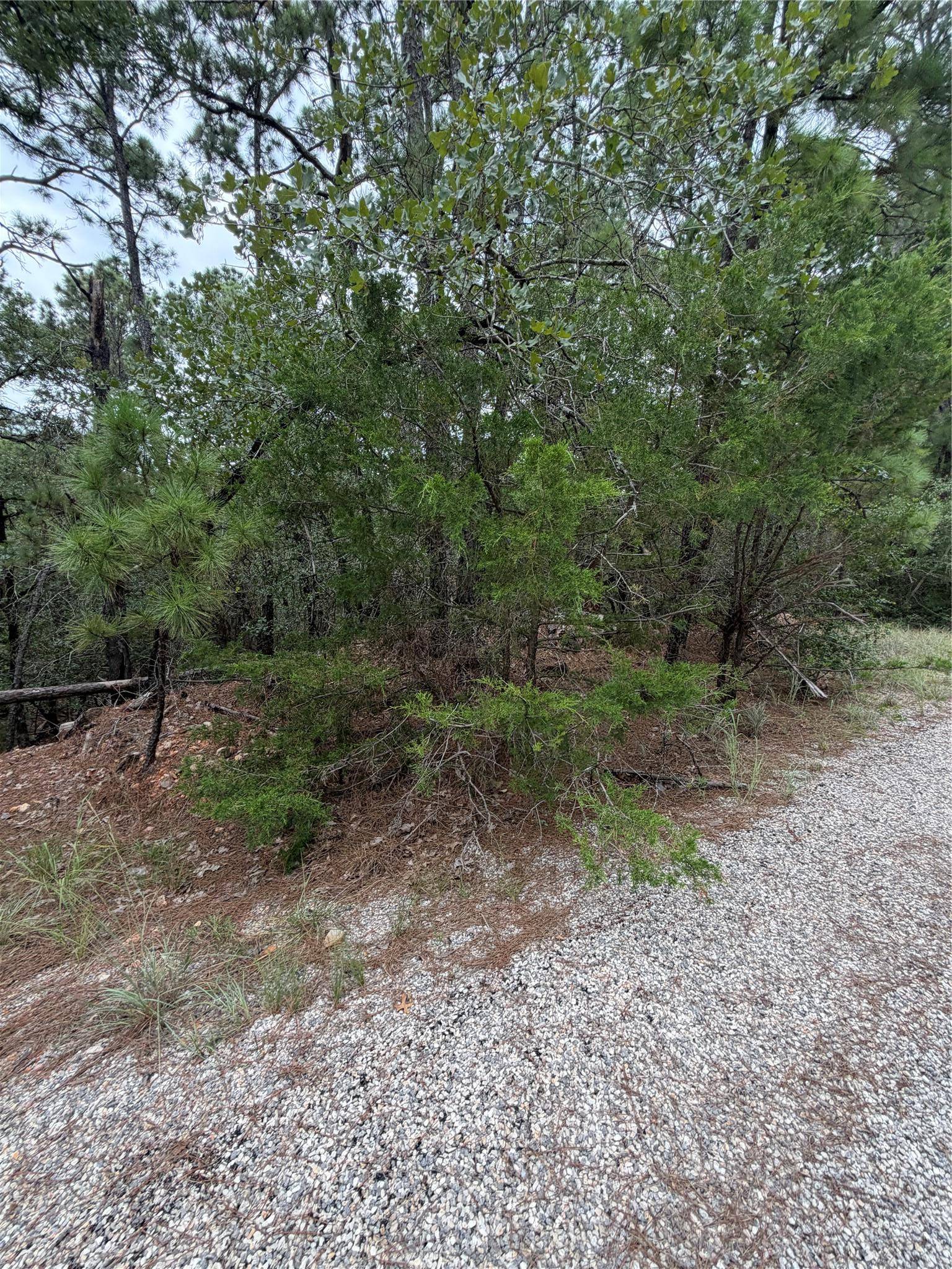 Lots 216 and 217 Hekili DR, Bastrop, TX 78602