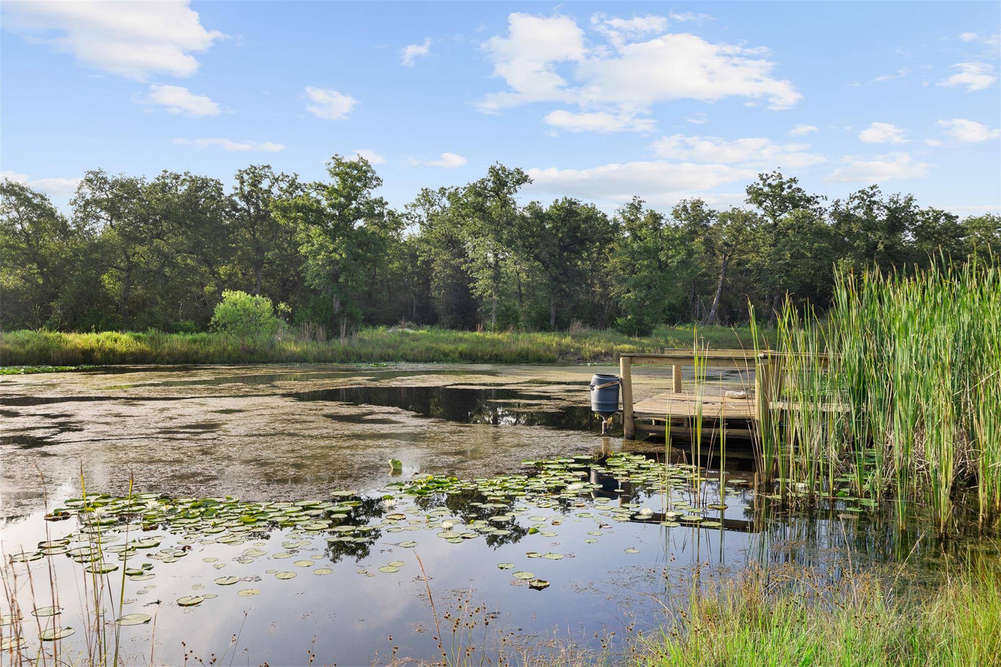 2131 County Road 278, Somerville, TX 77879