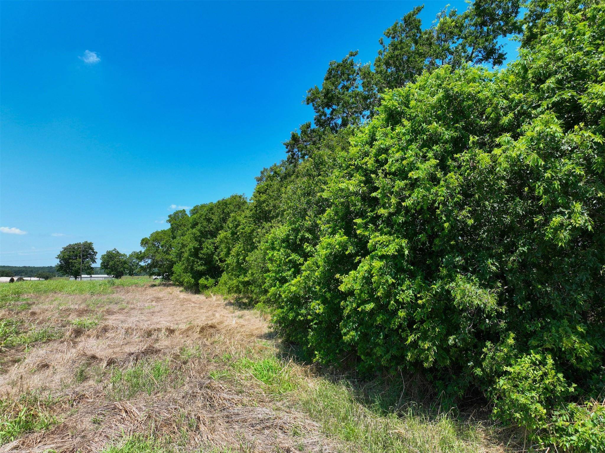 Lot 1 CR 142 RD, Cameron, TX 76520