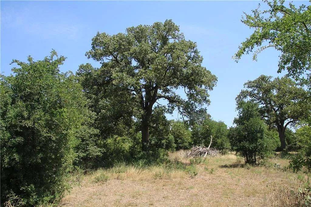 580 Whisper LN, Georgetown, TX 78628