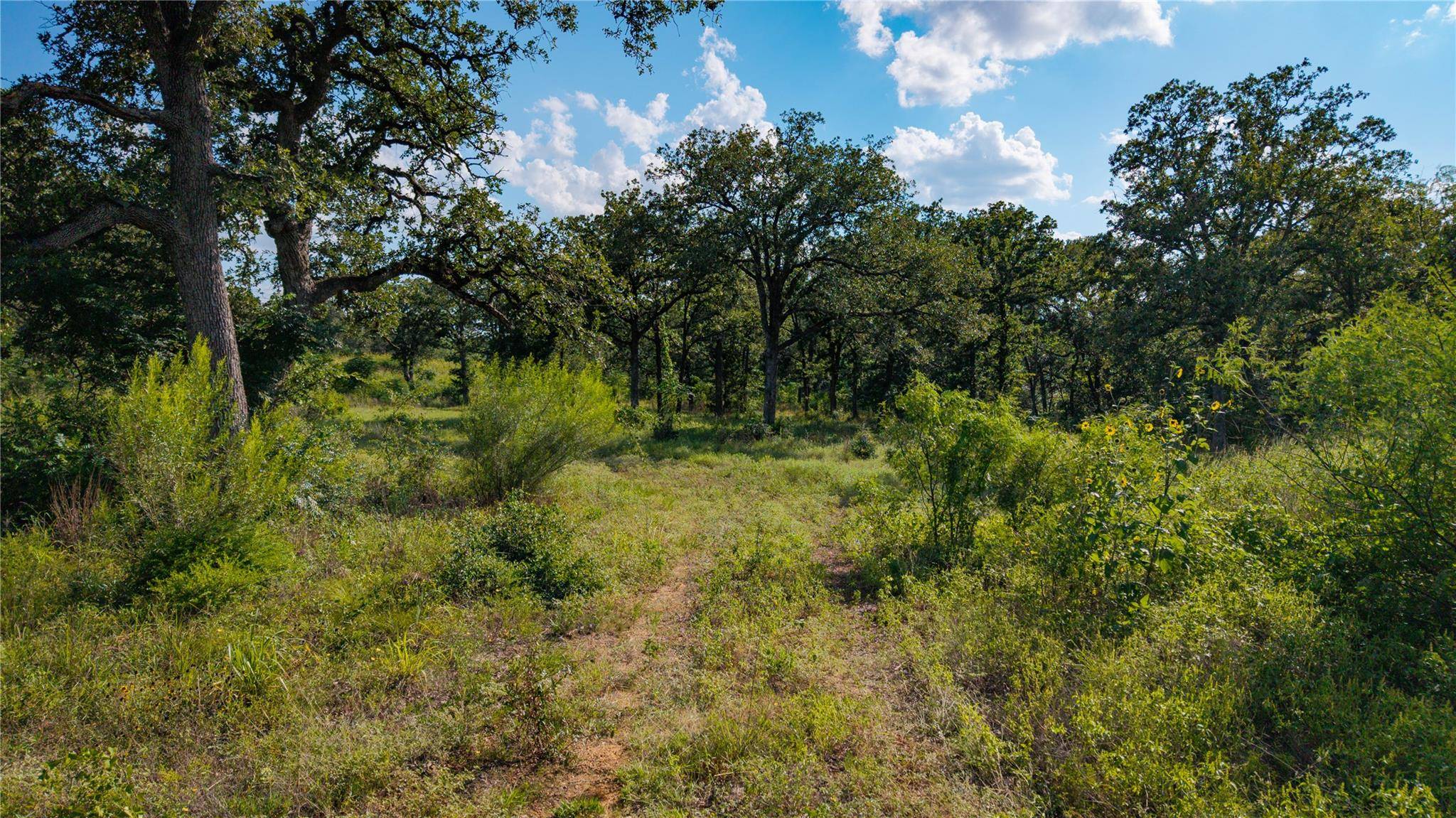 206 Sayers RD, Bastrop, TX 78602