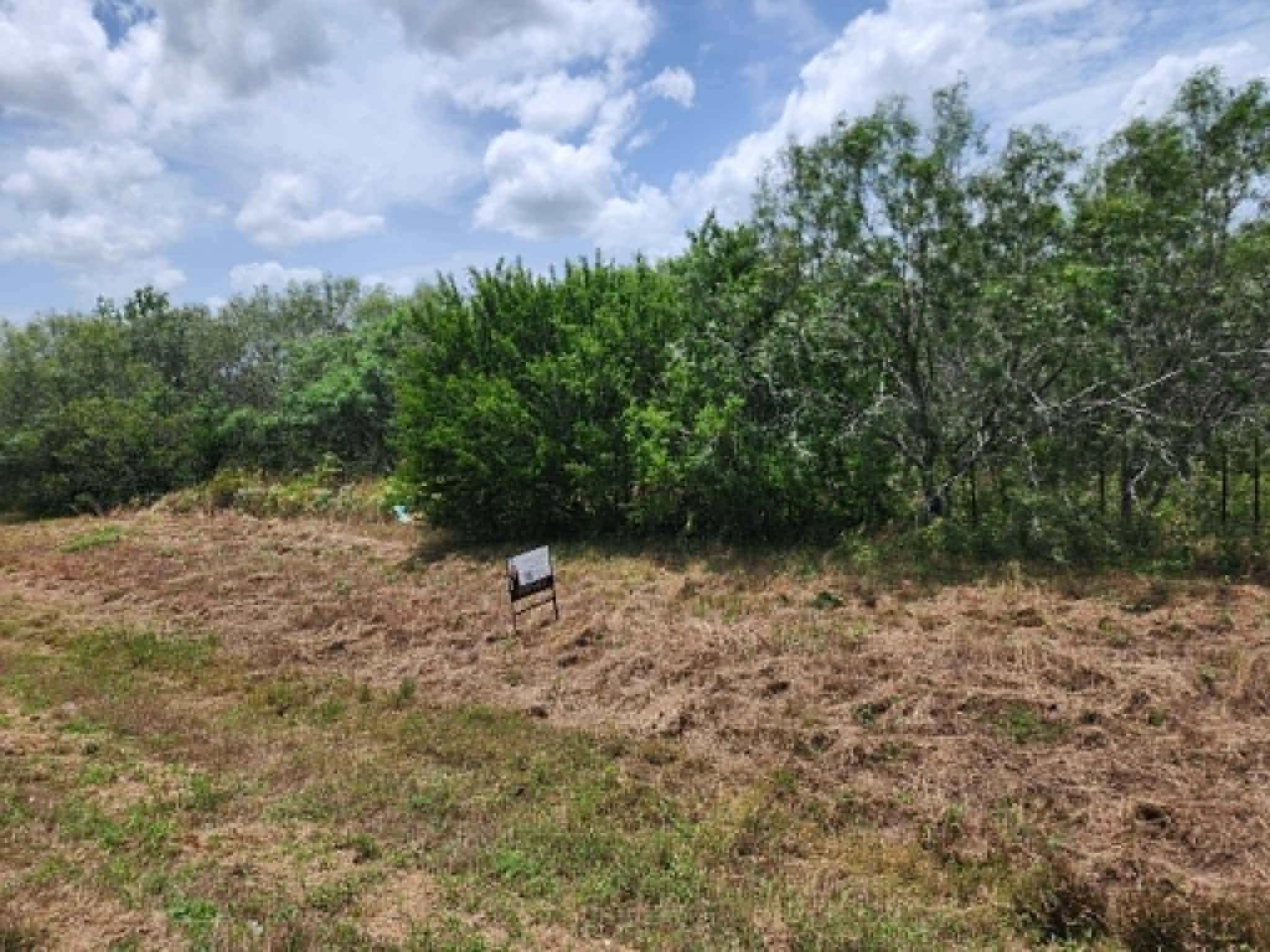 000 Fm 466 ST, Cost, TX 78614