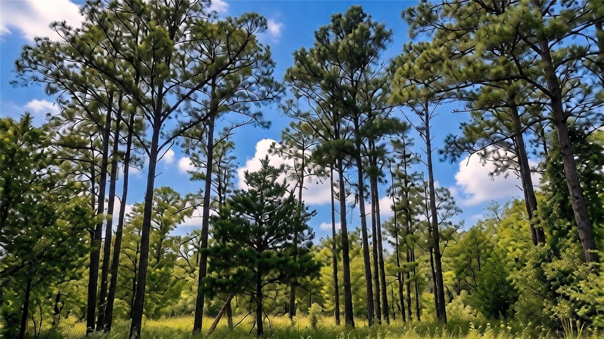 TBD Modock DR, Bastrop, TX 78602