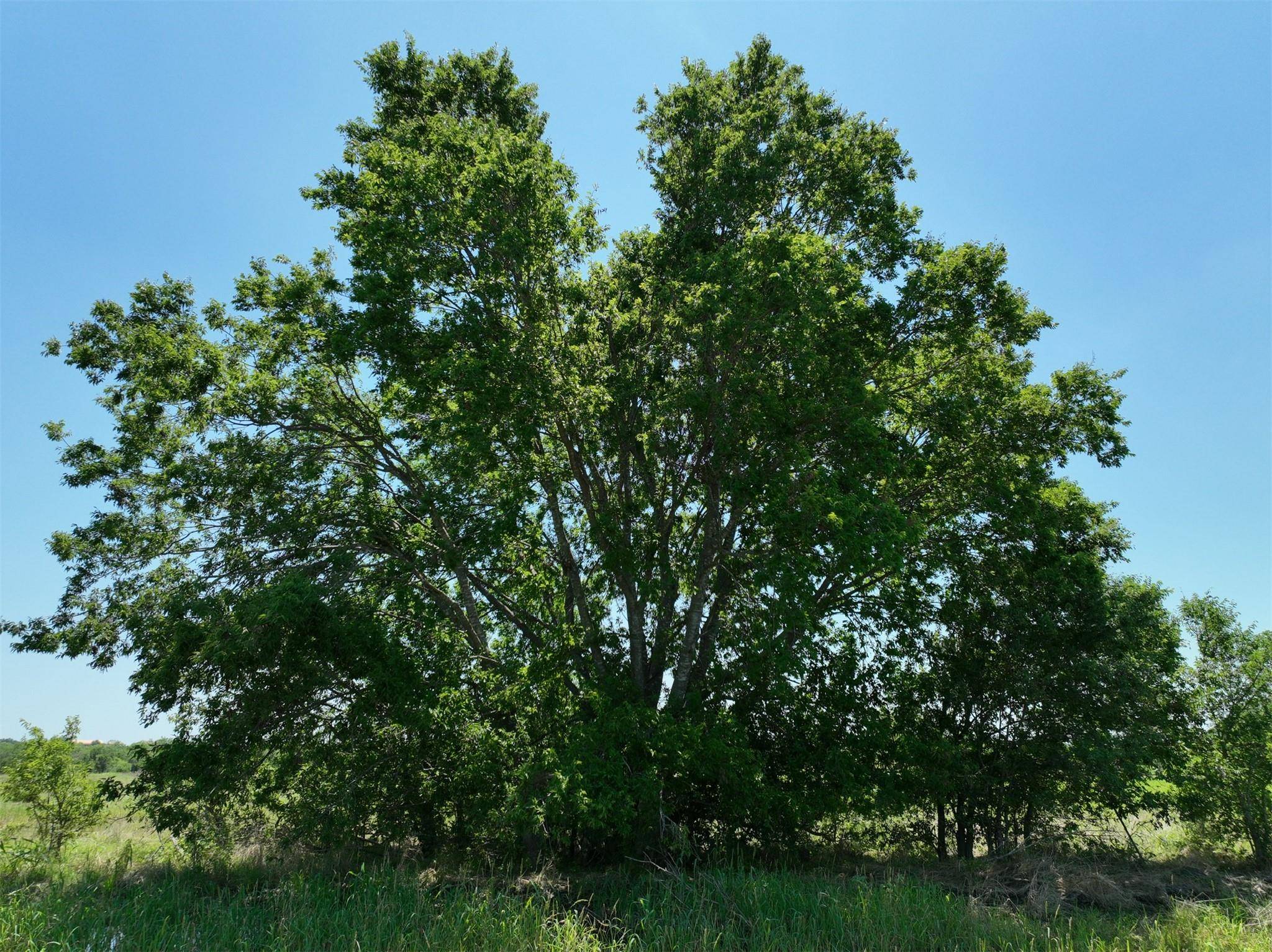 Lot 2 CR 142 RD, Cameron, TX 76520