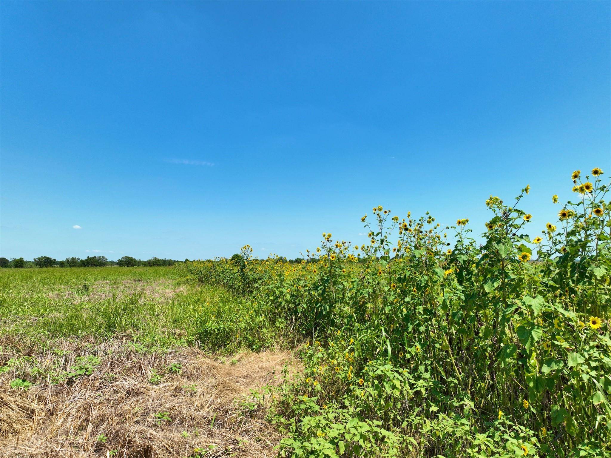 Lot 2 CR 142 RD, Cameron, TX 76520