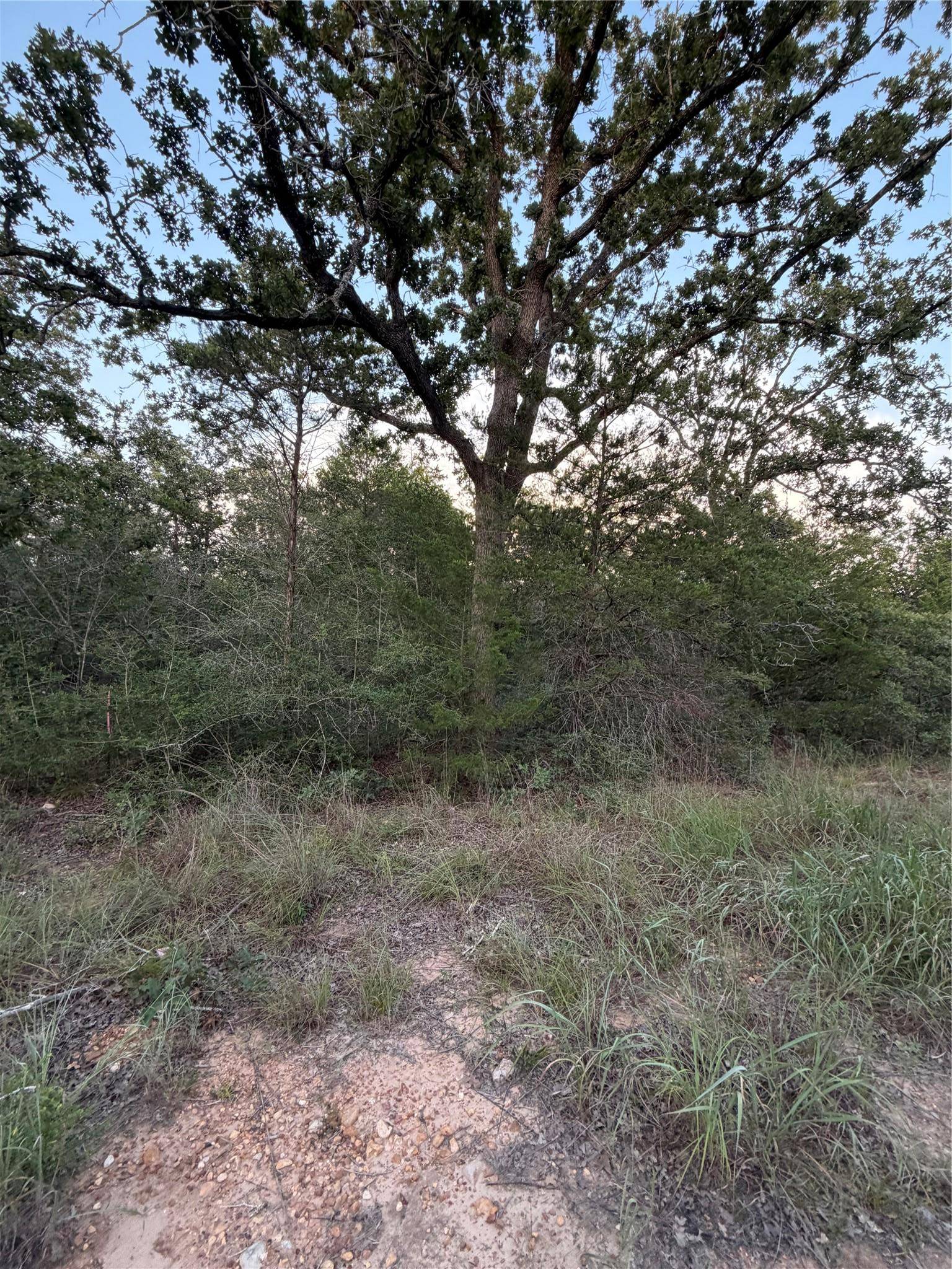Lot 4 Spruce ST, Paige, TX 78659
