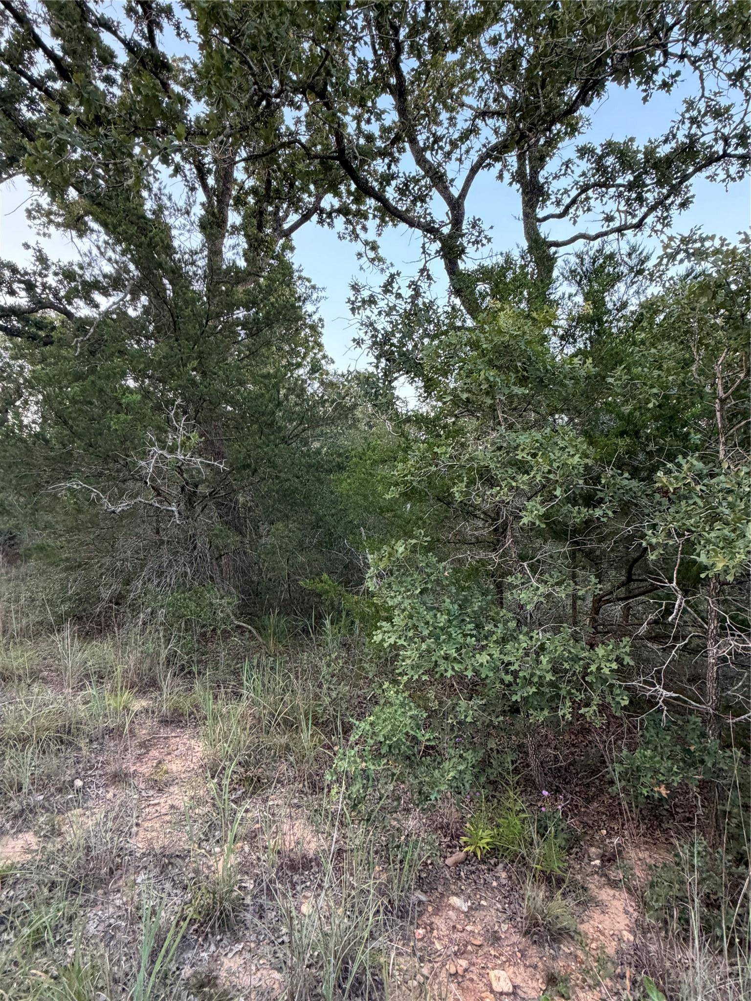 Lot 4 Spruce ST, Paige, TX 78659