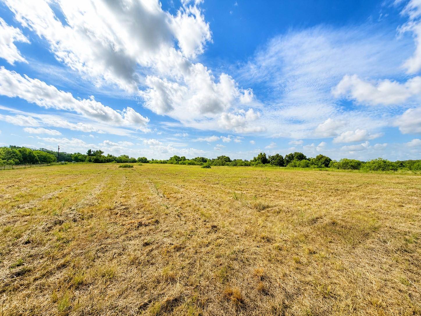 1155 FM 1600, Cameron, TX 76520