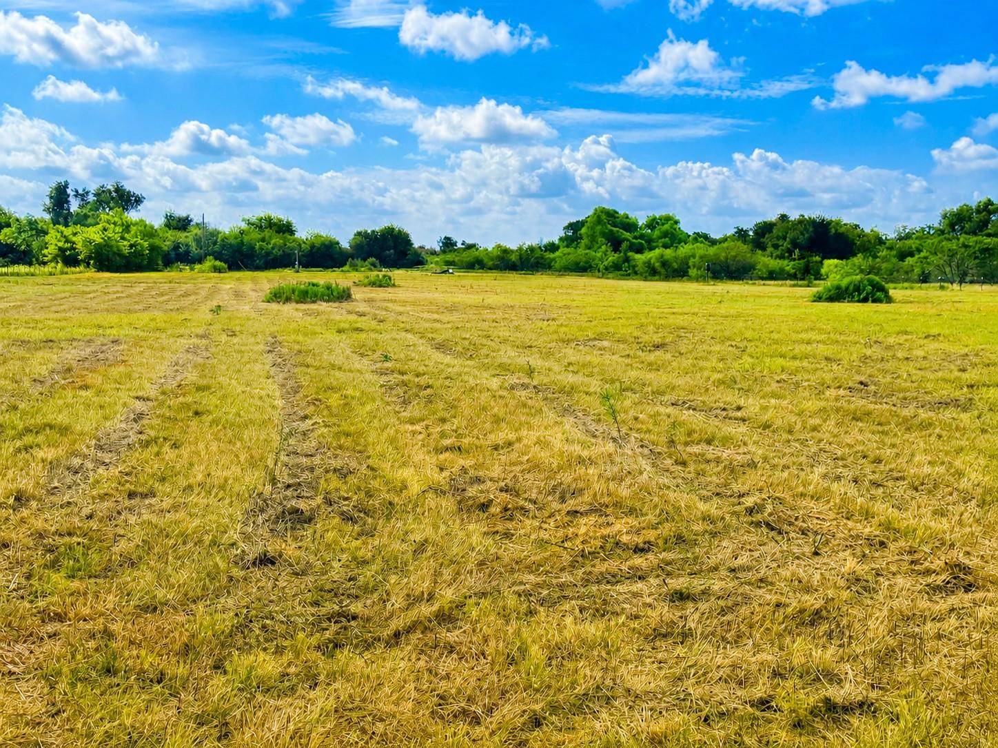 1155 FM 1600, Cameron, TX 76520